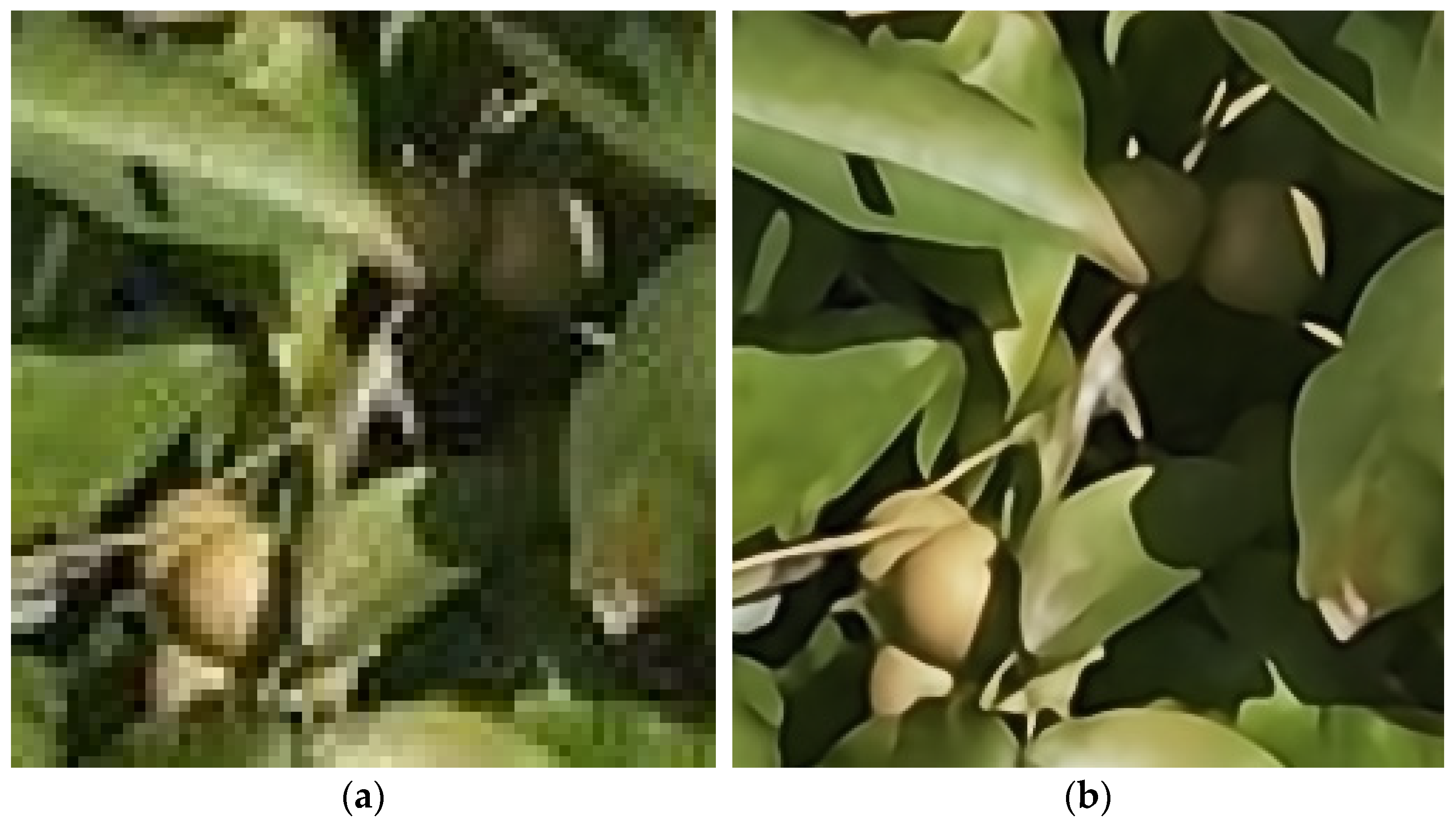 Agriculture 14 01279 g013