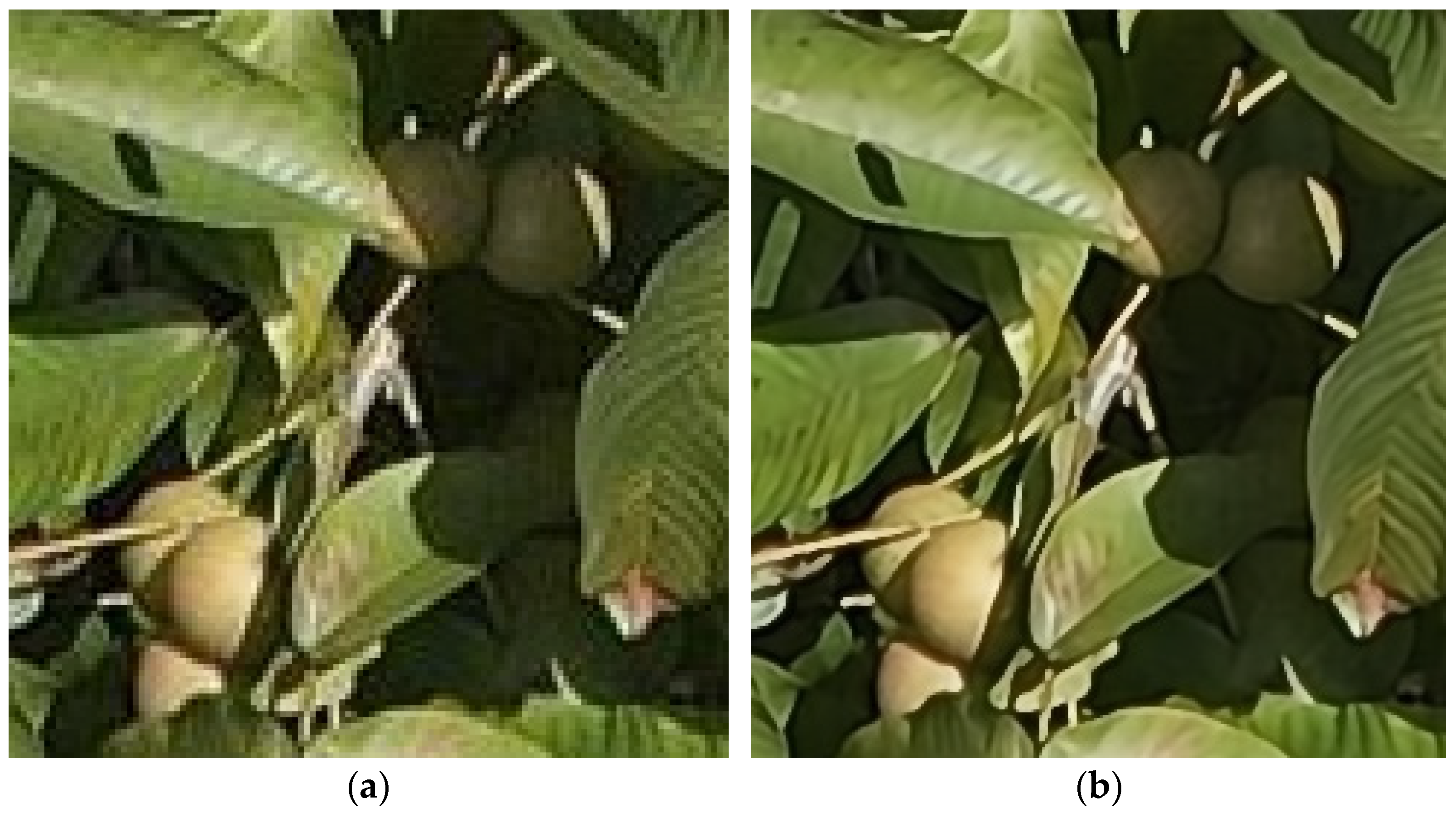 Agriculture 14 01279 g014