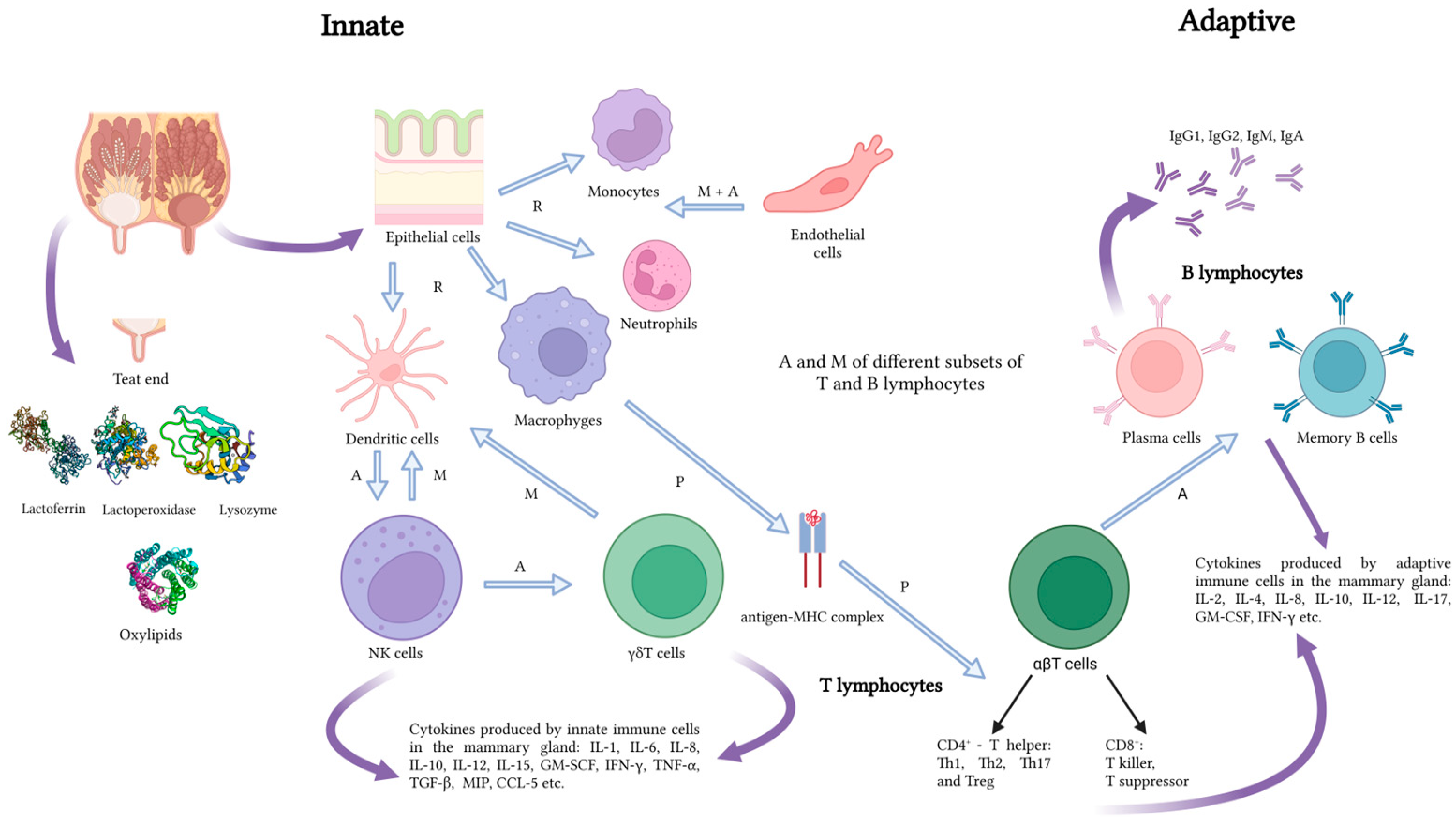 Agriculture 14 01292 g001 Agriculture 14 01292 g001