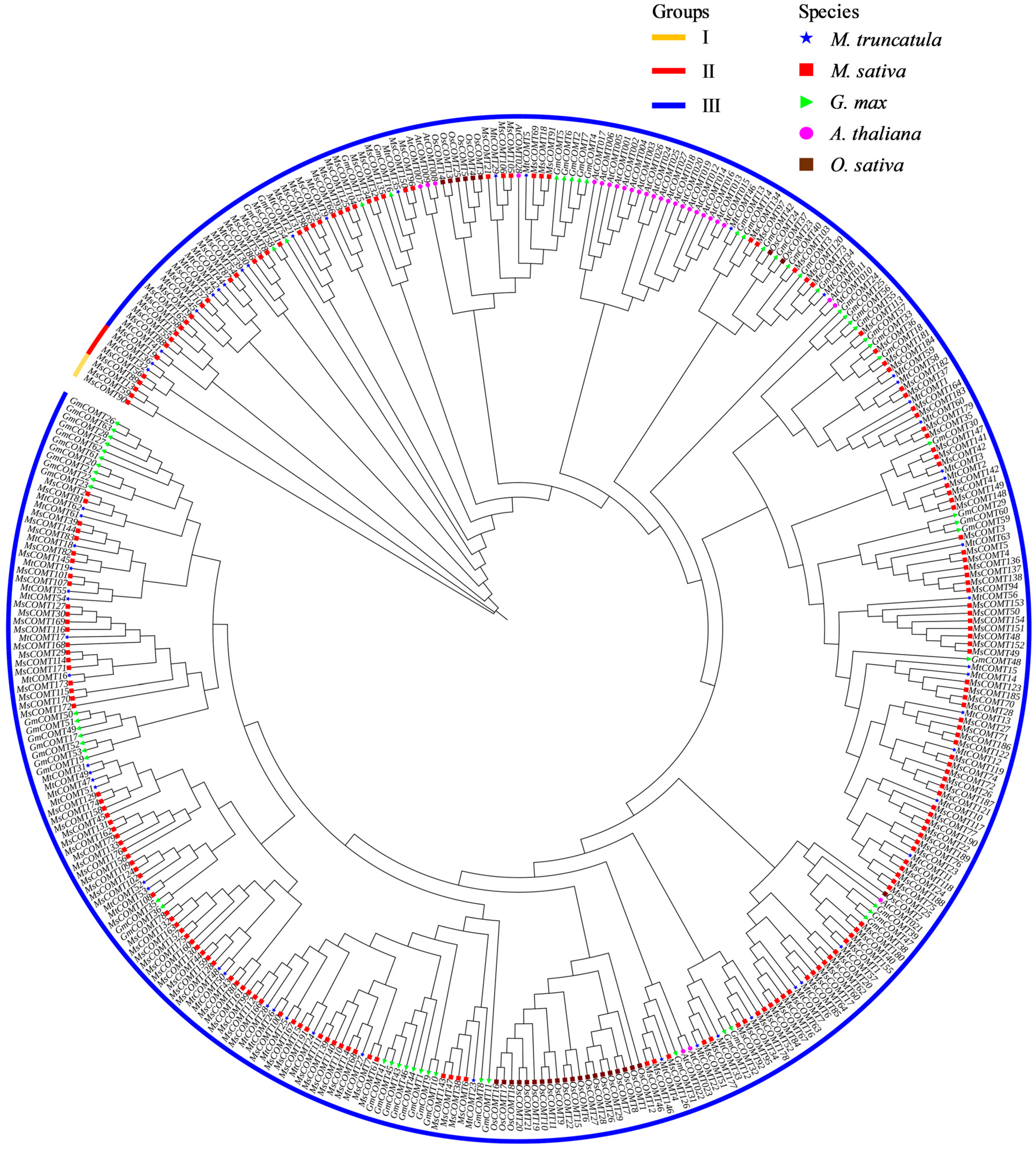 Agriculture 14 01305 g001