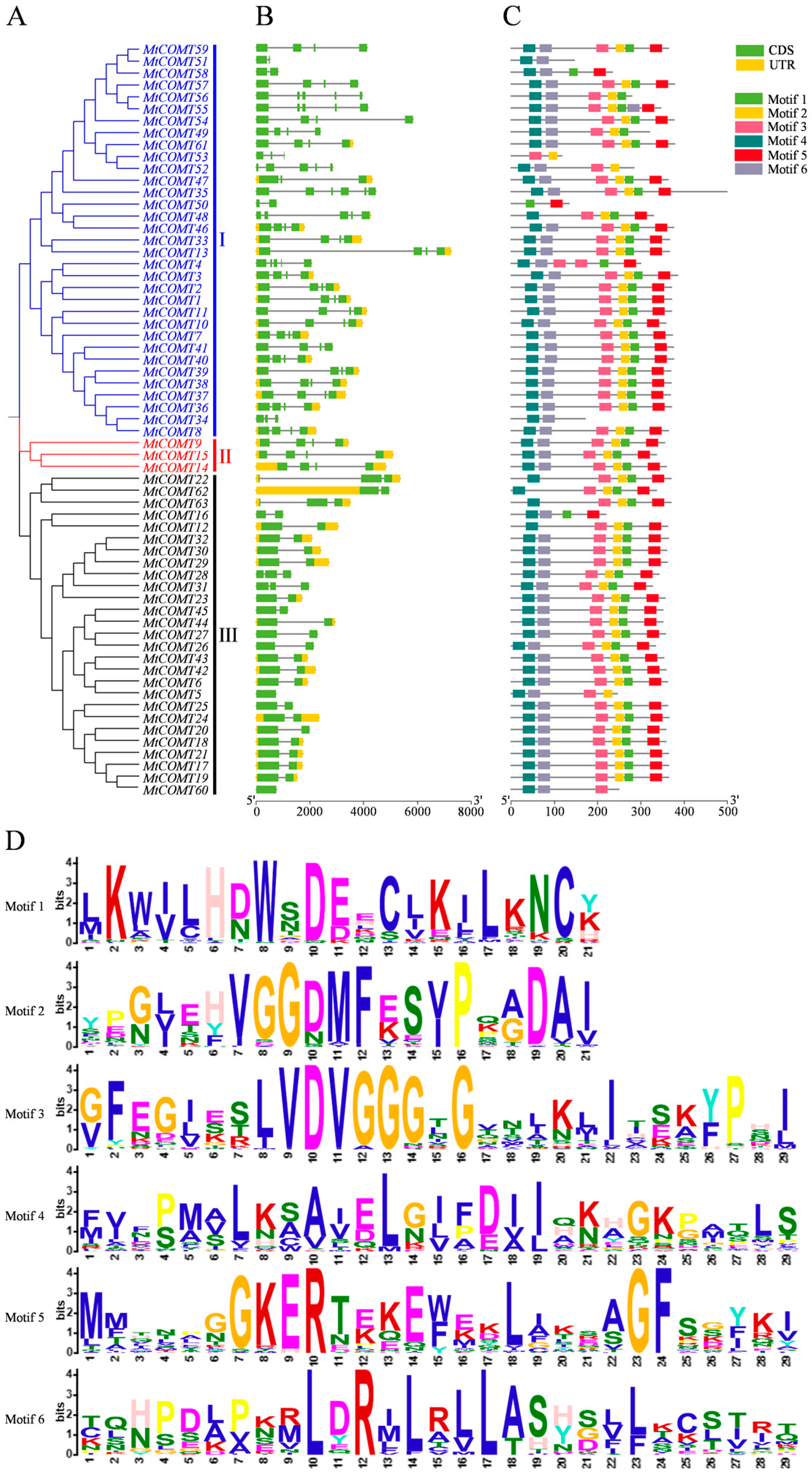 Agriculture 14 01305 g002