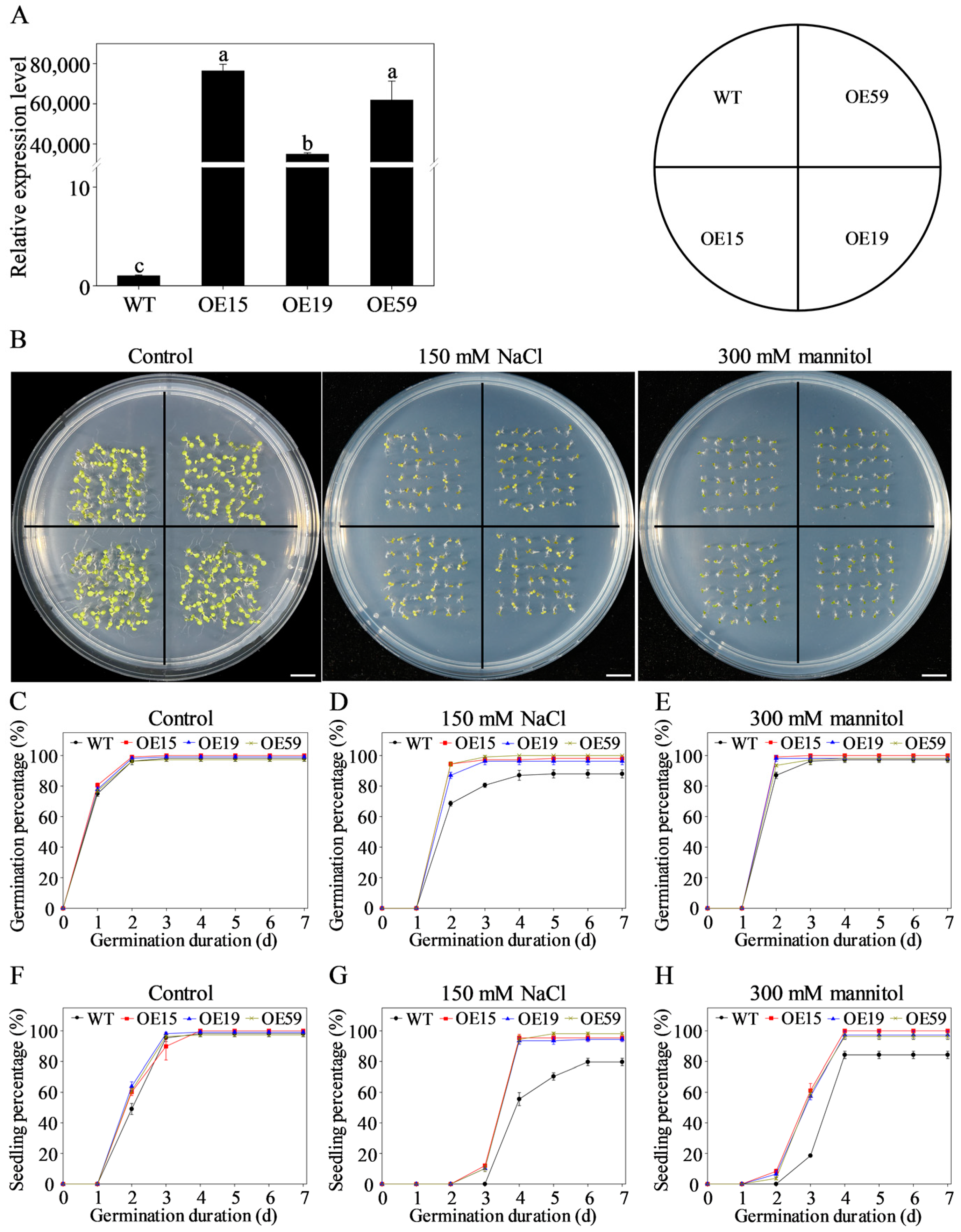 Agriculture 14 01305 g009