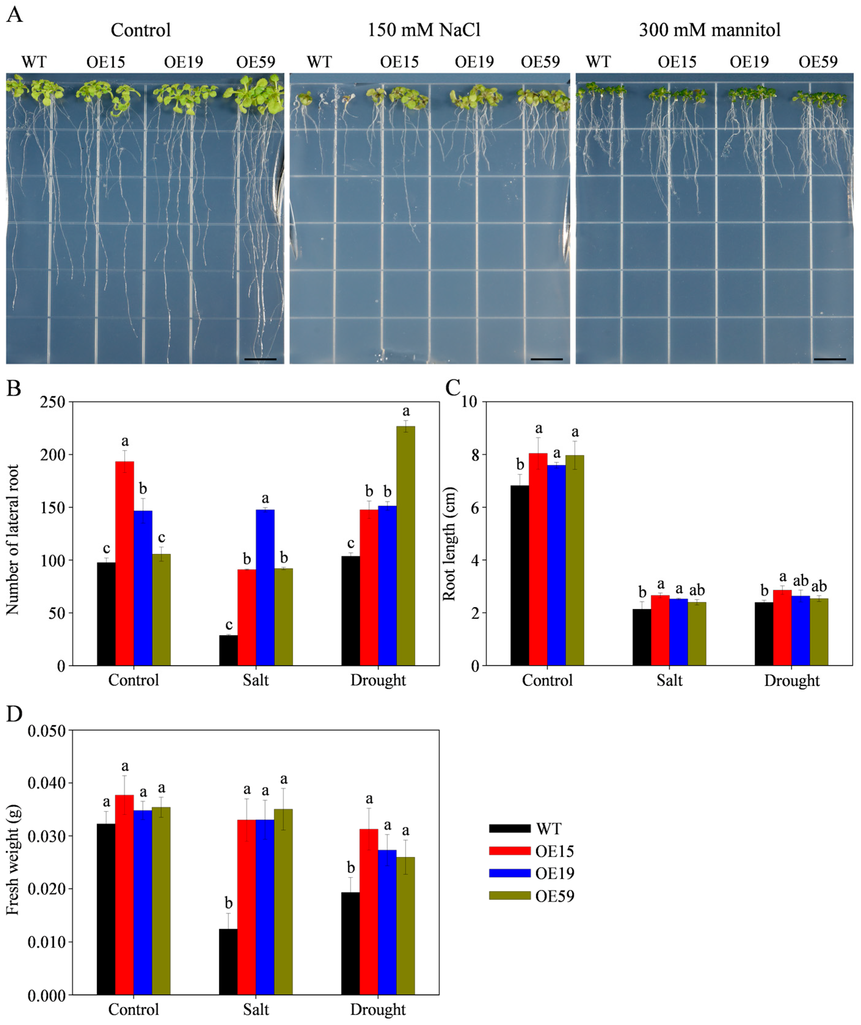 Agriculture 14 01305 g010