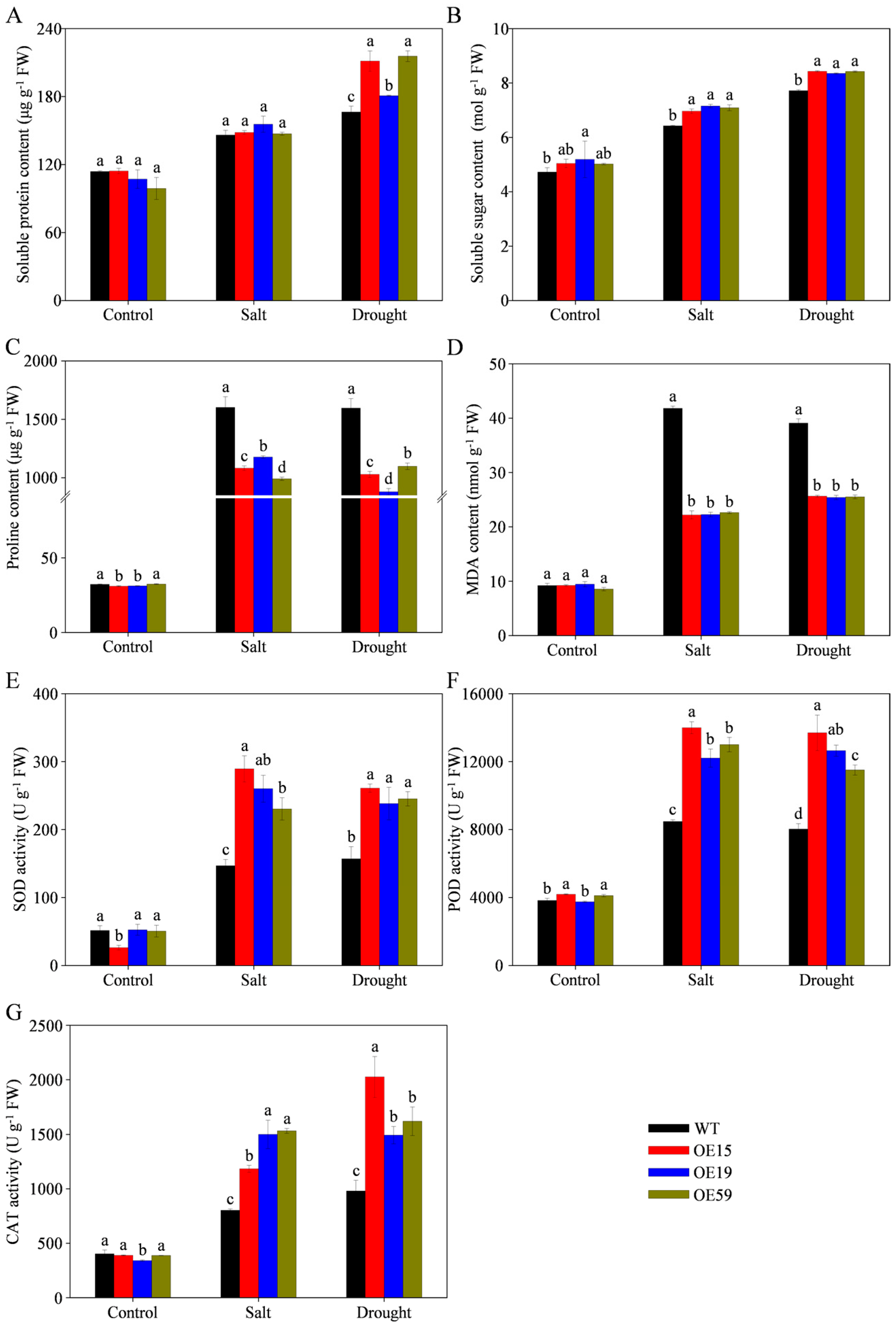 Agriculture 14 01305 g012