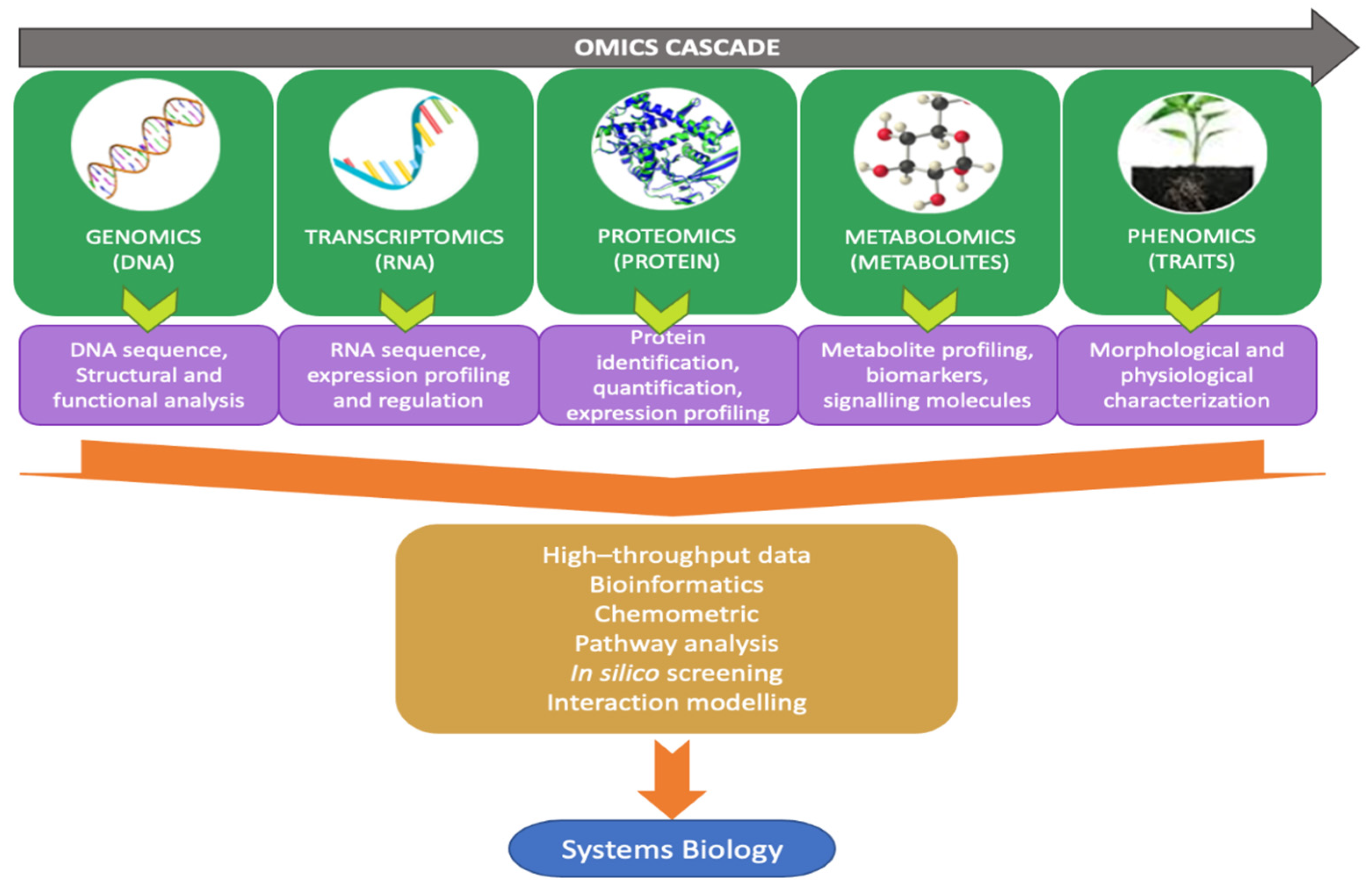 Agriculture 14 01307 g002