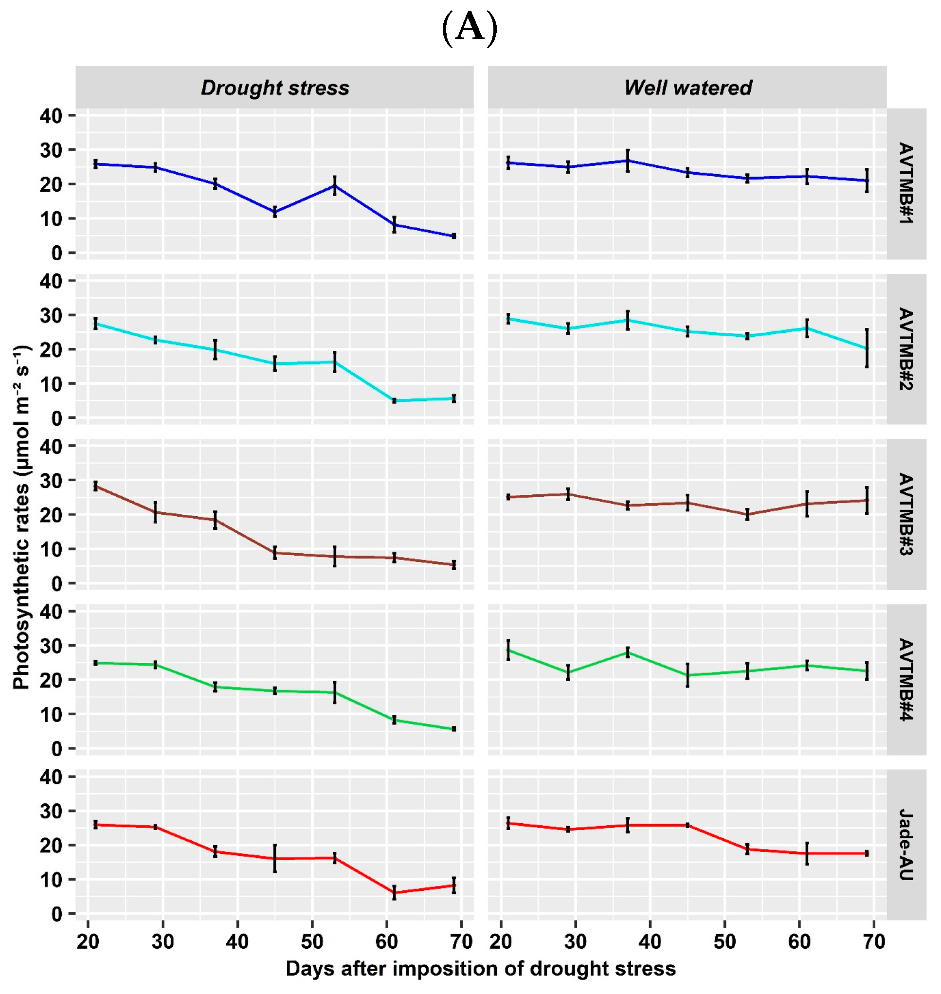 Agriculture 14 01328 g004a
