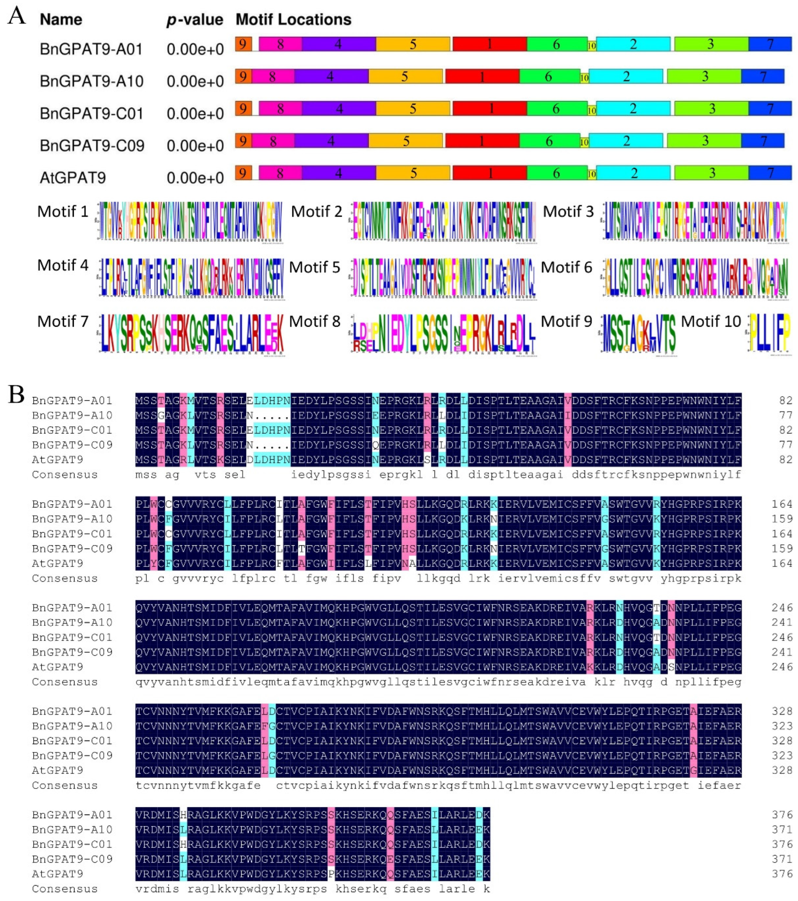 Agriculture 14 01334 g001