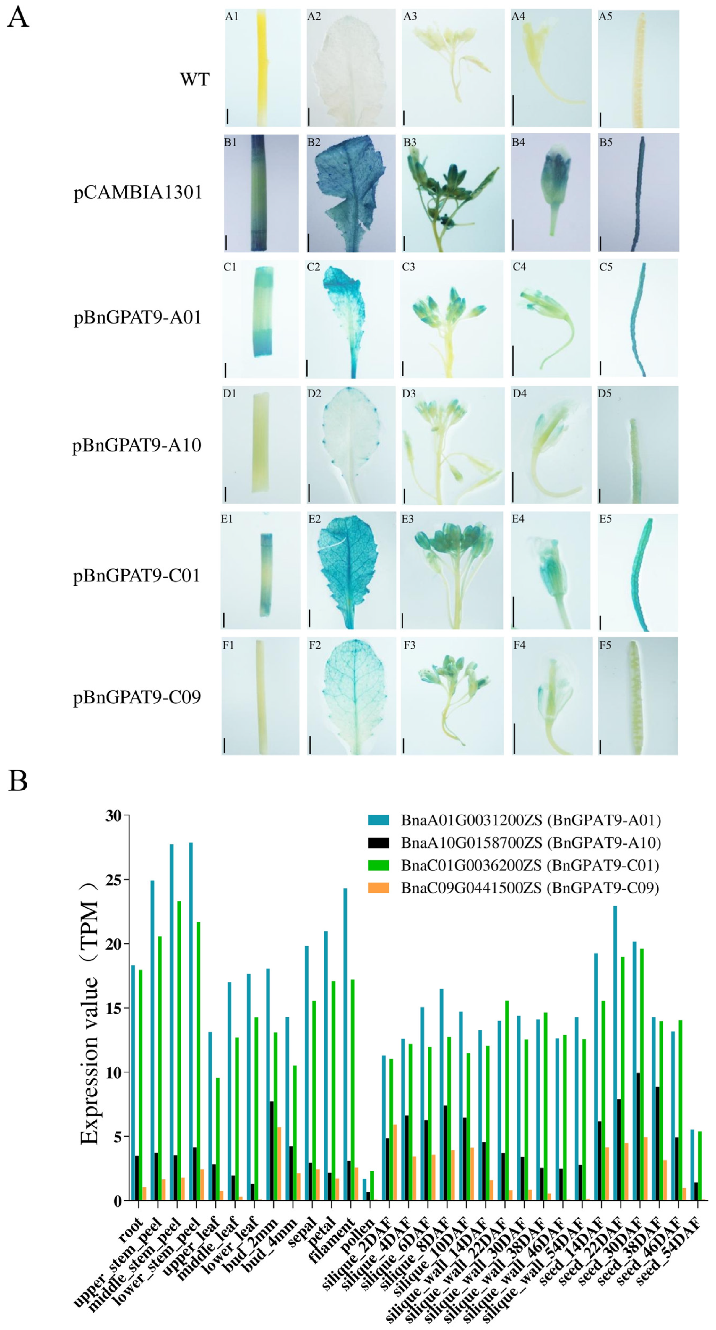 Agriculture 14 01334 g003