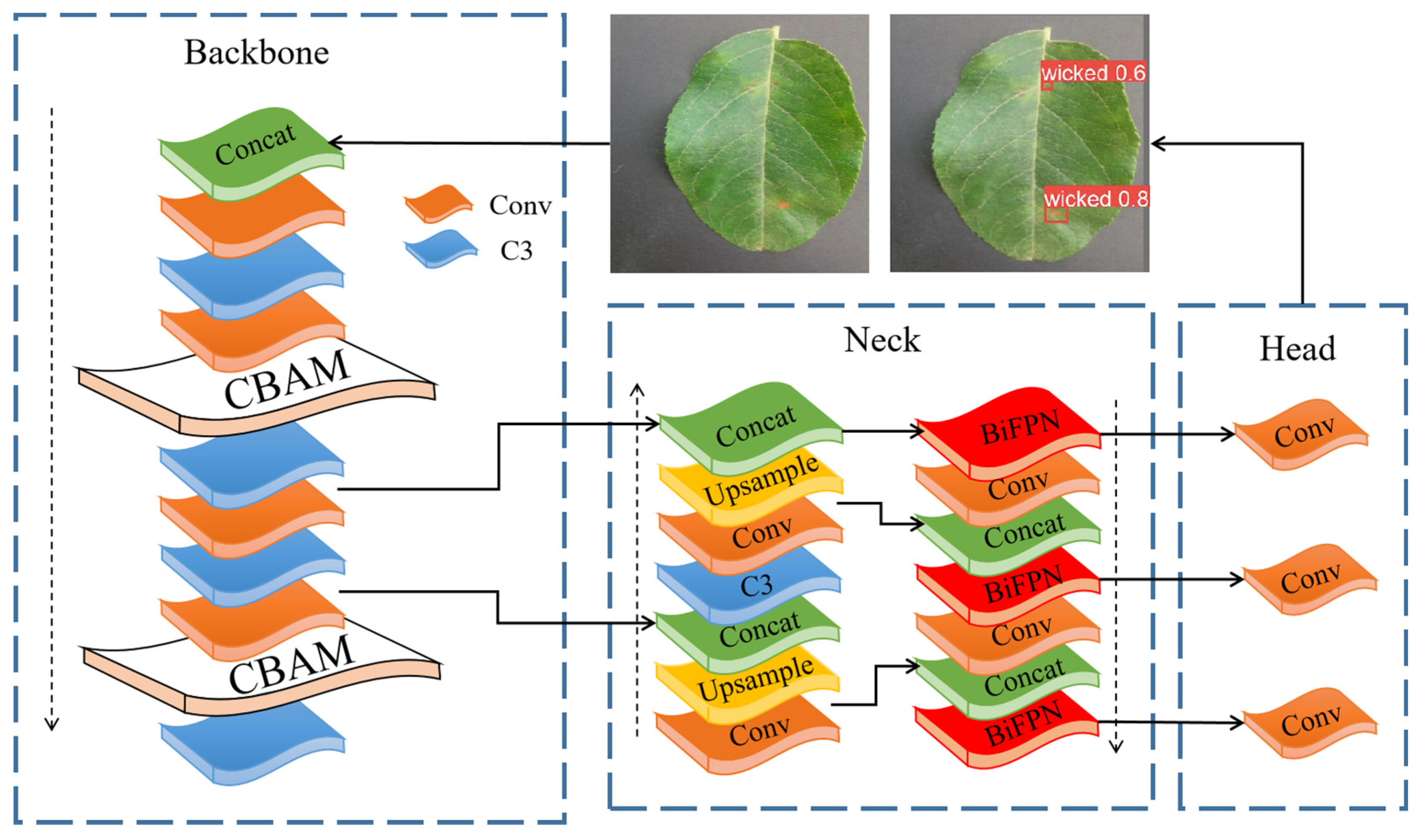 Agriculture 14 01341 g009