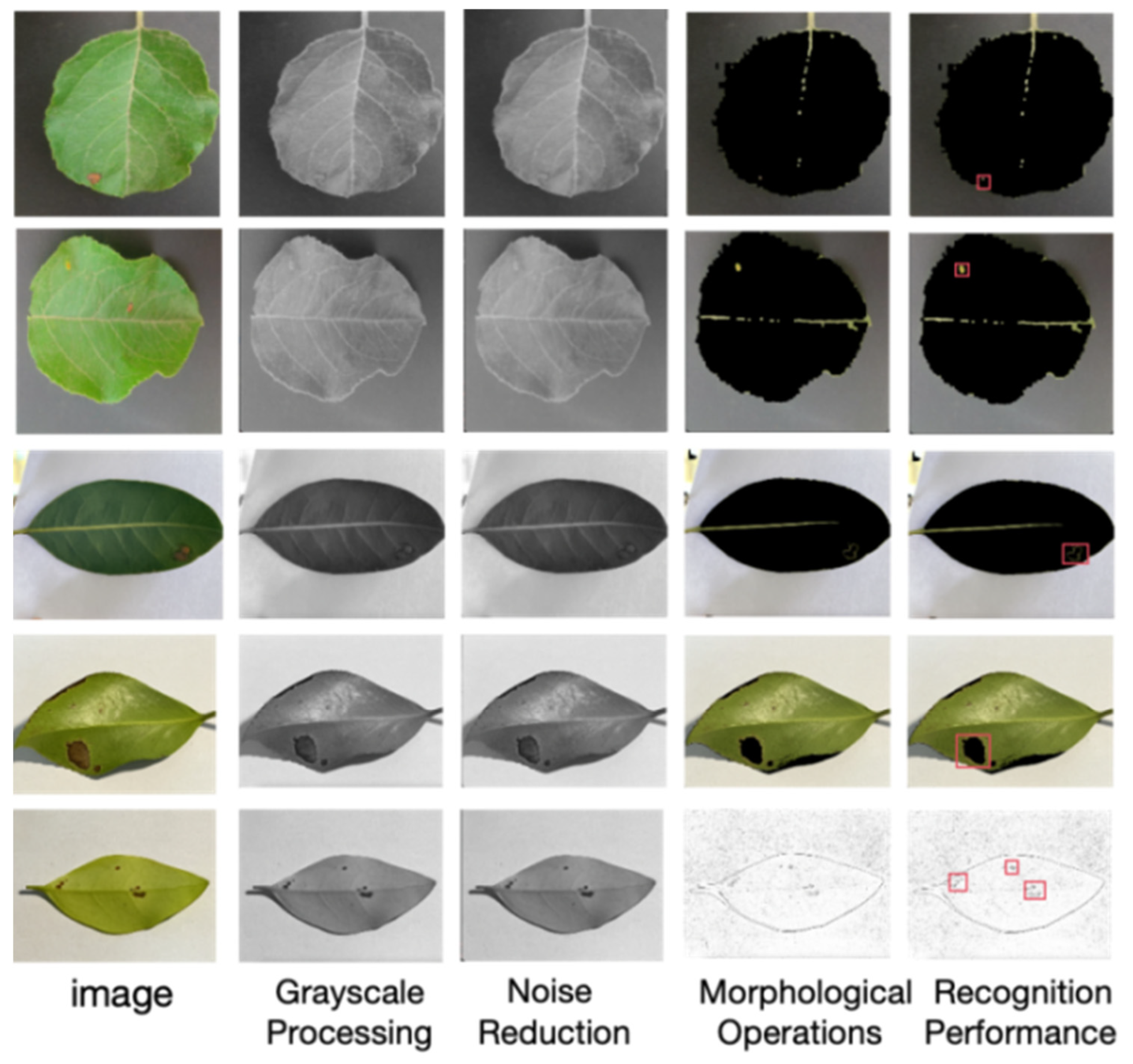 Agriculture 14 01341 g011
