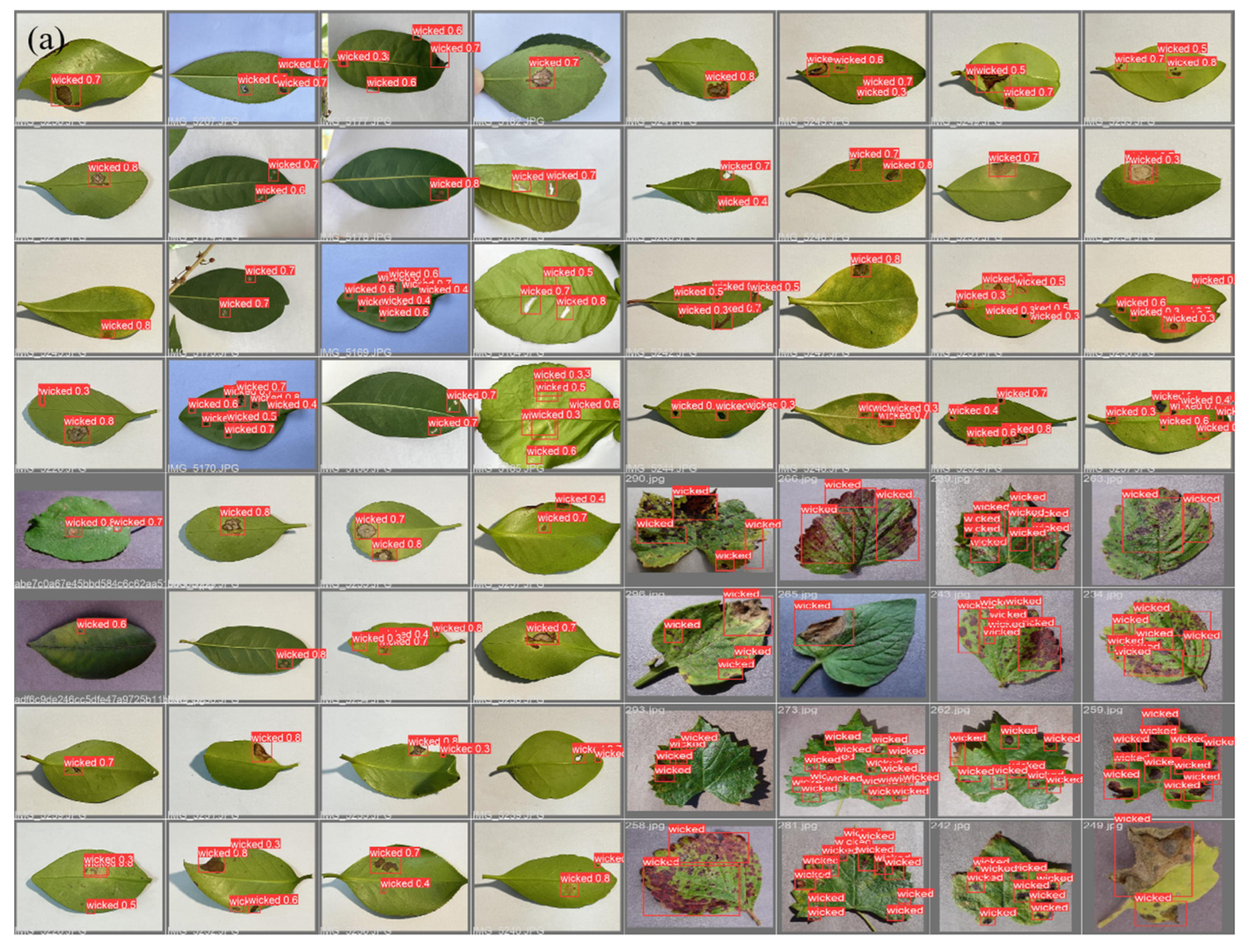 Agriculture 14 01341 g017a