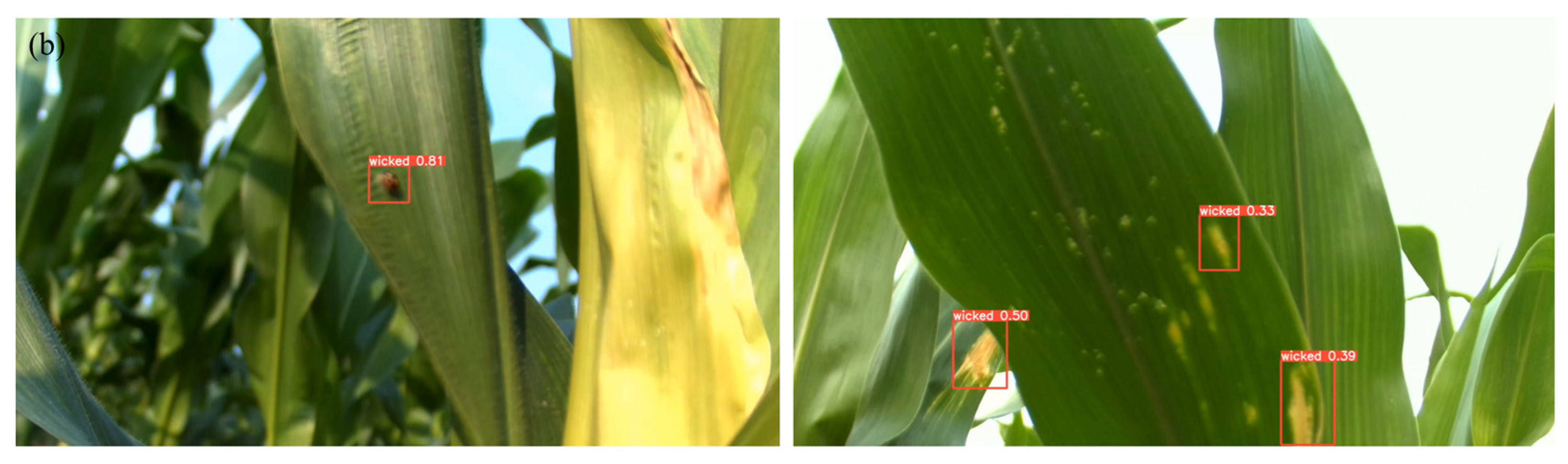 Agriculture 14 01341 g017b