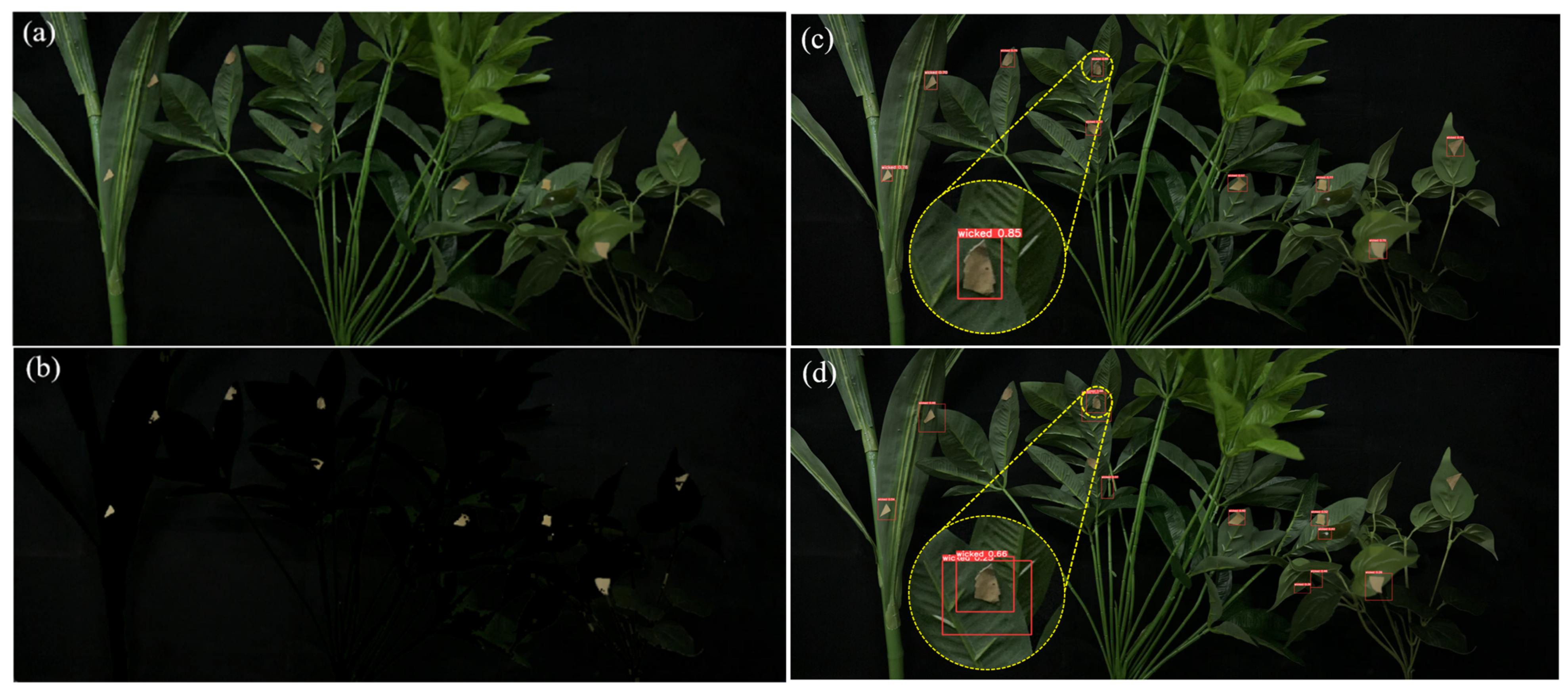 Agriculture 14 01341 g018