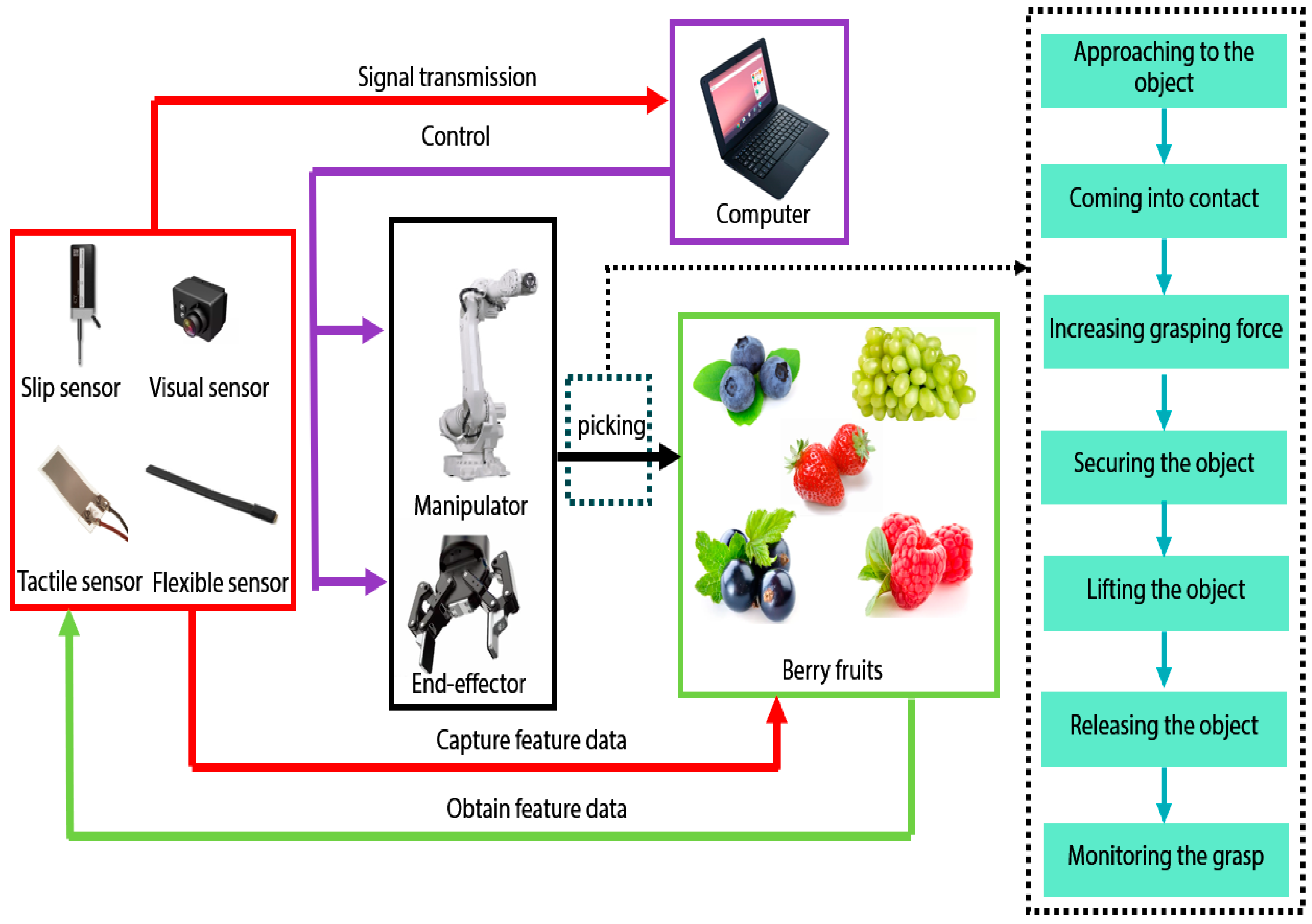 Agriculture 14 01346 g003