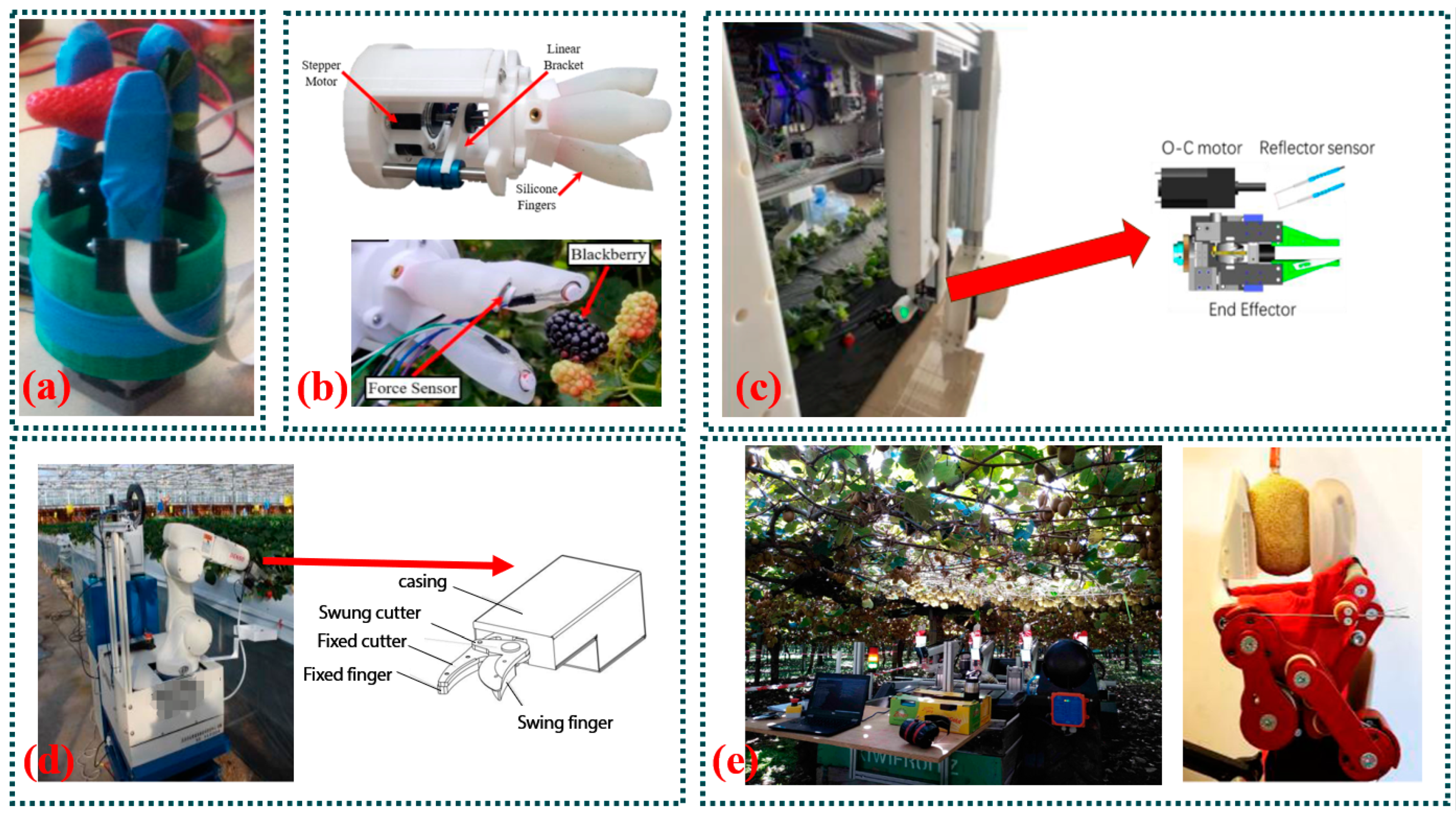 Agriculture 14 01346 g007