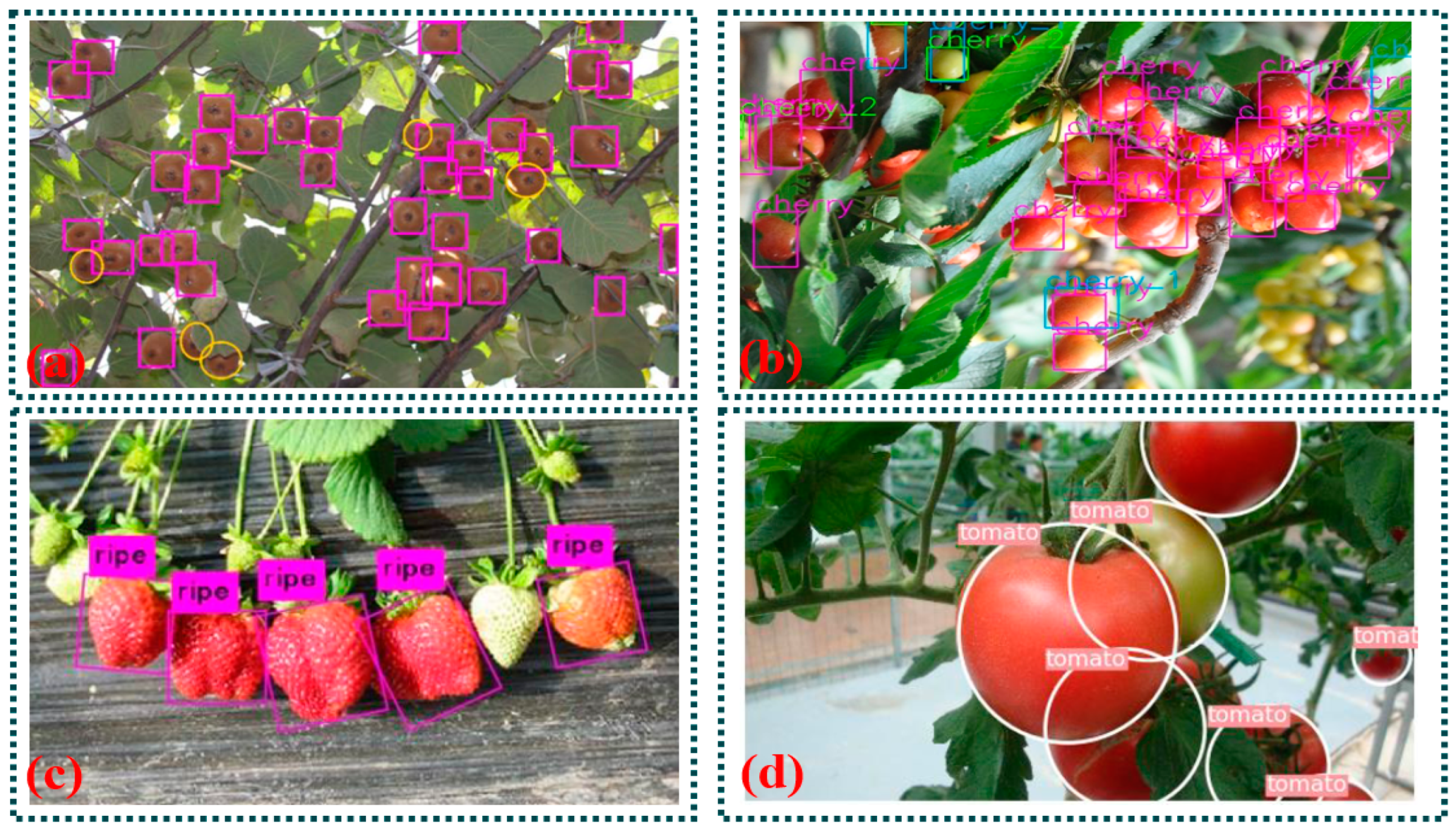 Agriculture 14 01346 g008