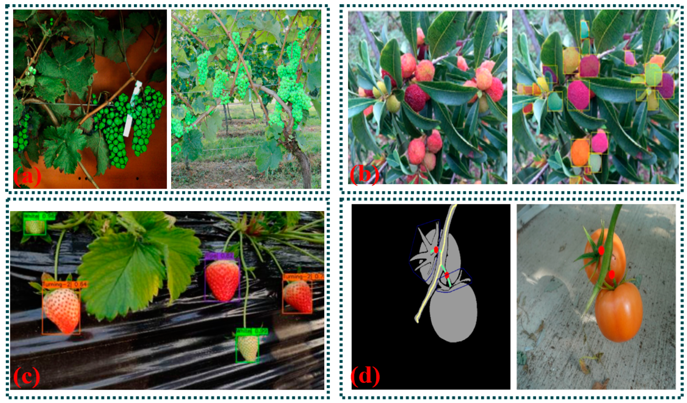 Agriculture 14 01346 g009