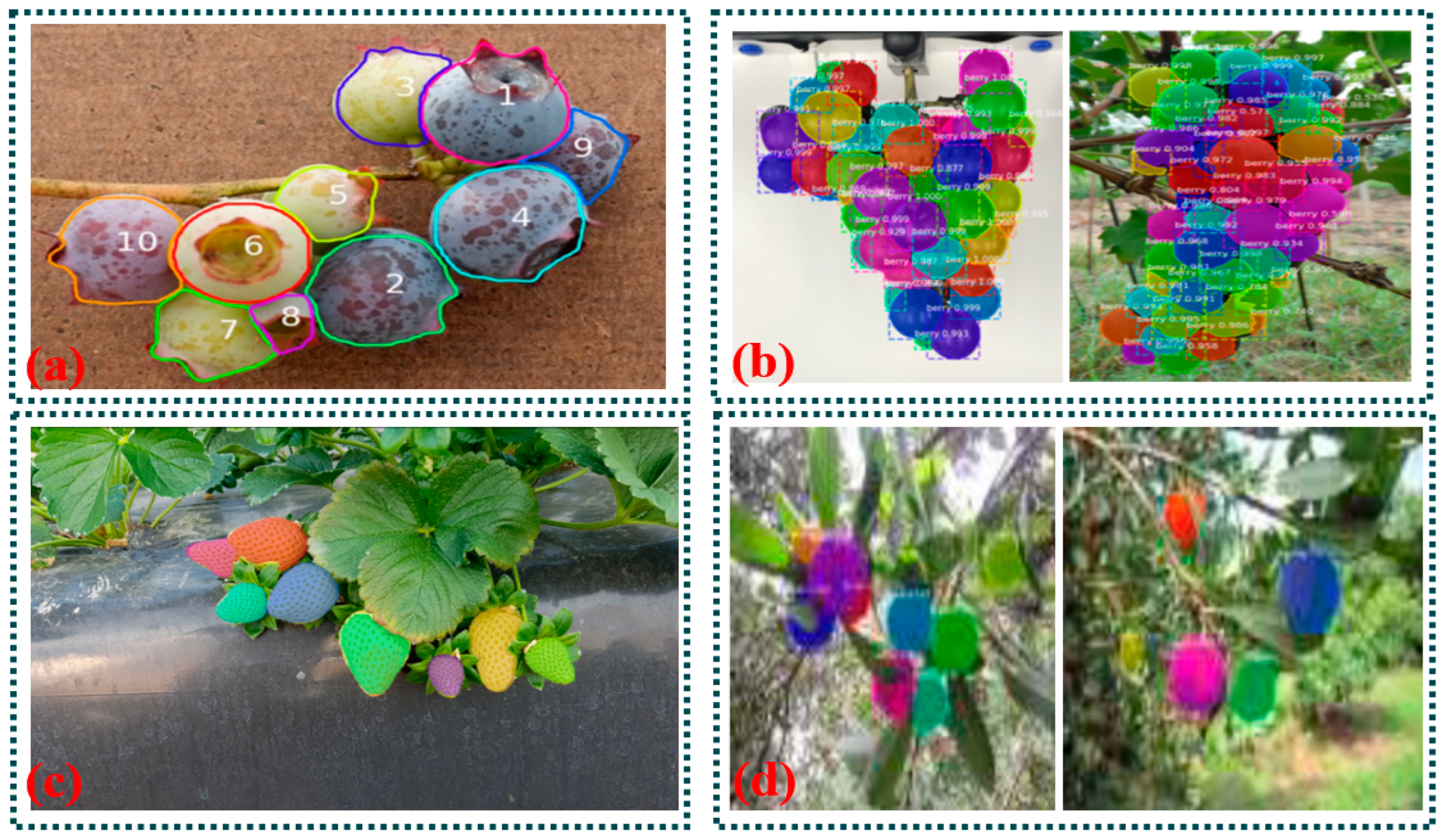 Agriculture 14 01346 g010