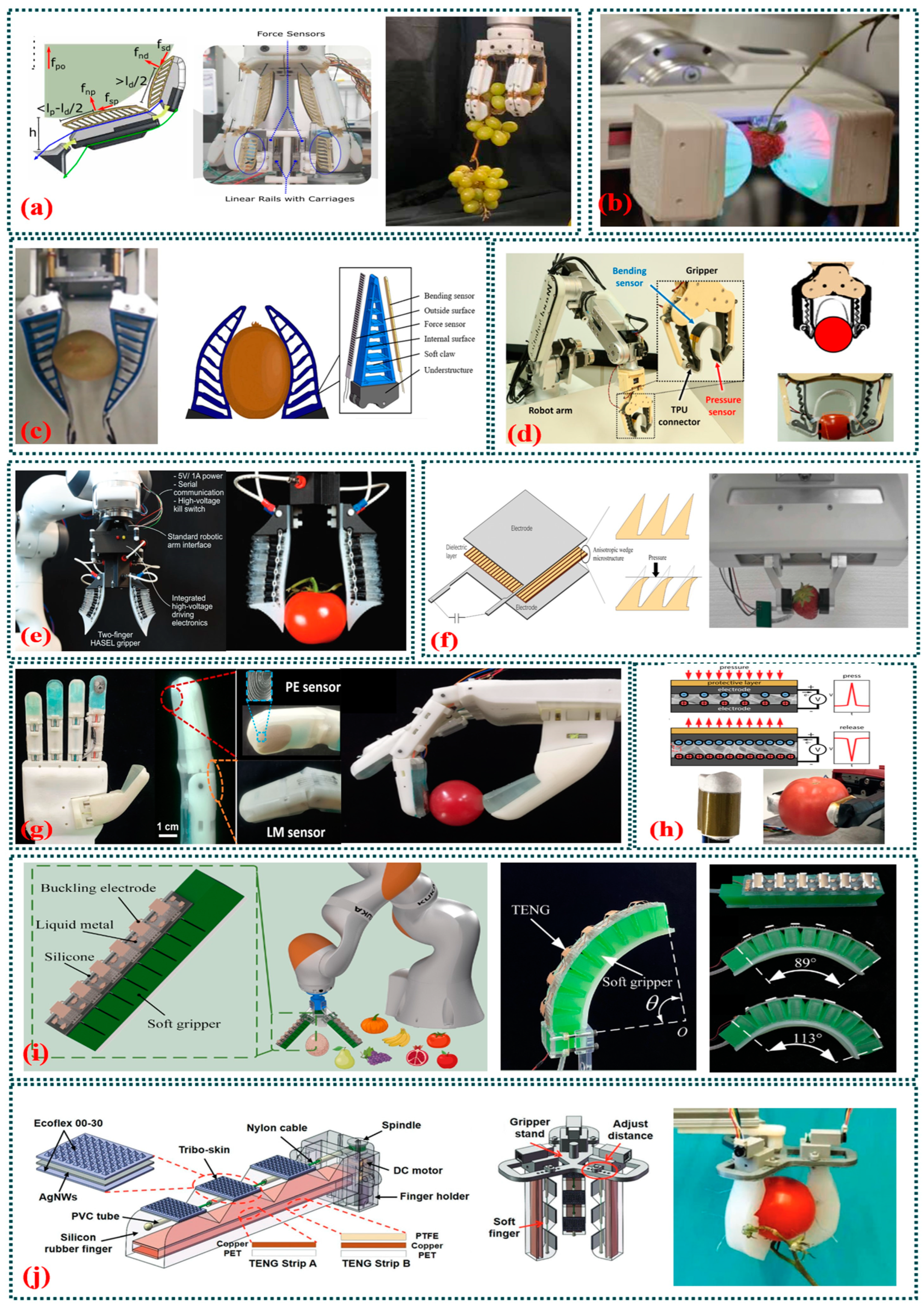 Agriculture 14 01346 g011