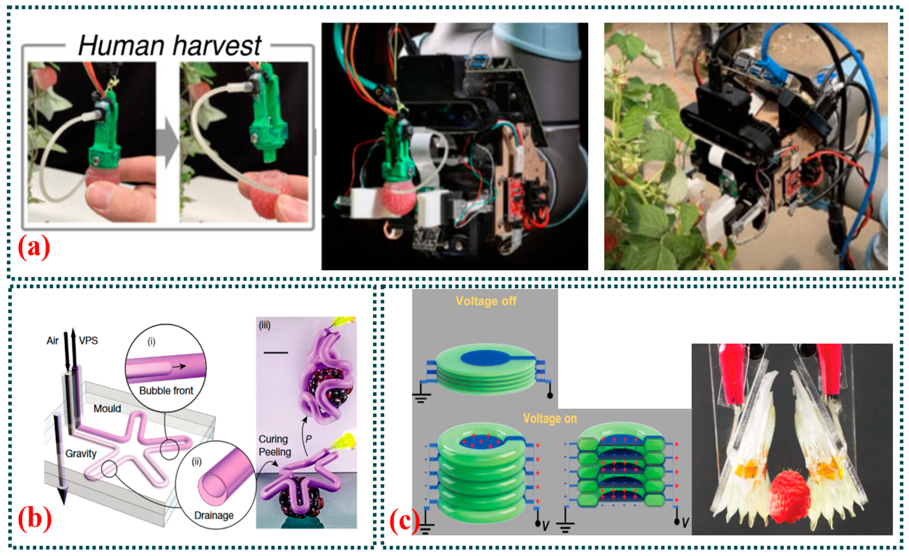 Agriculture 14 01346 g015
