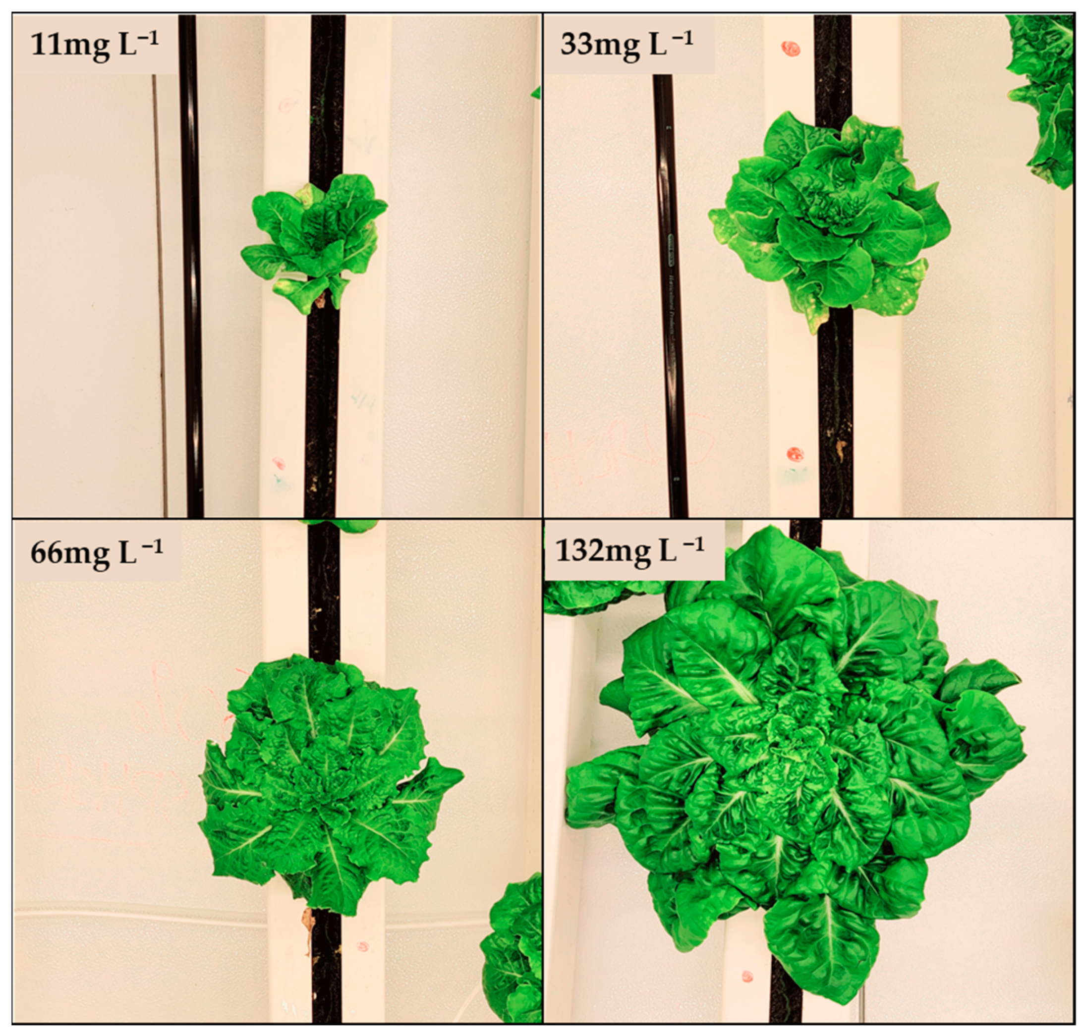 Agriculture 14 01358 g004