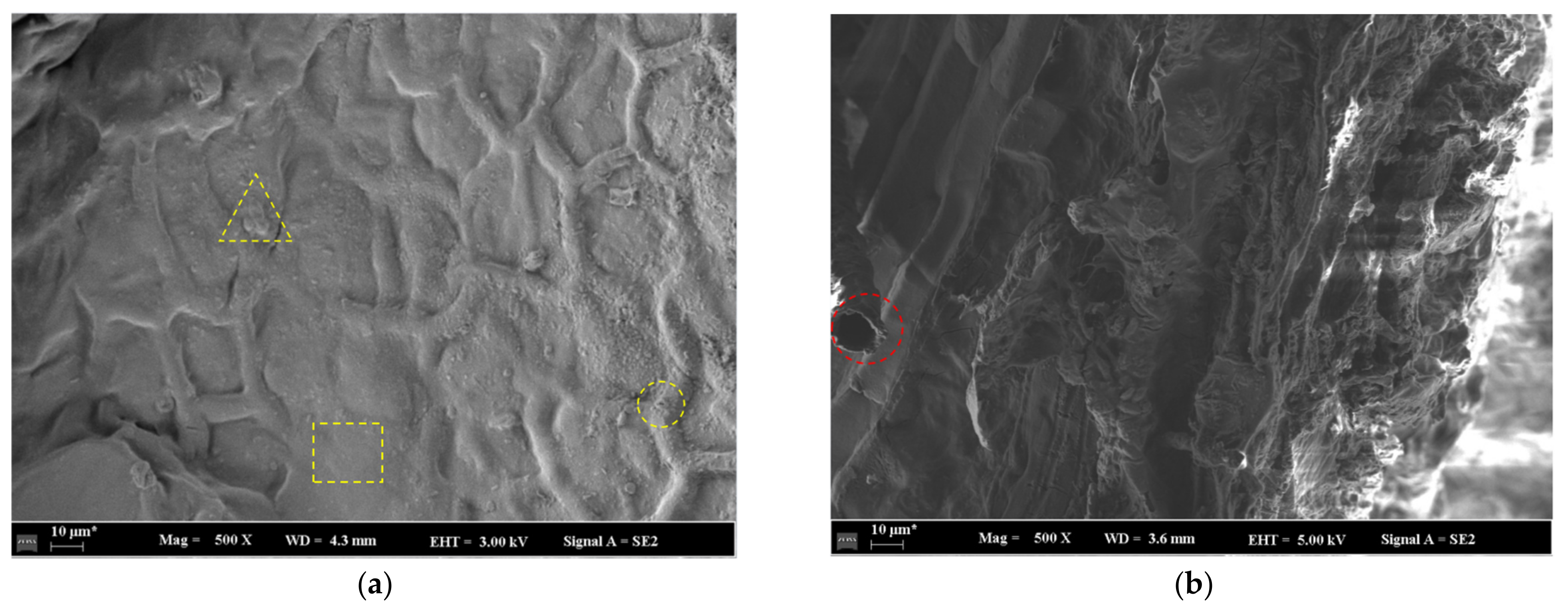 Agriculture 14 01361 g008