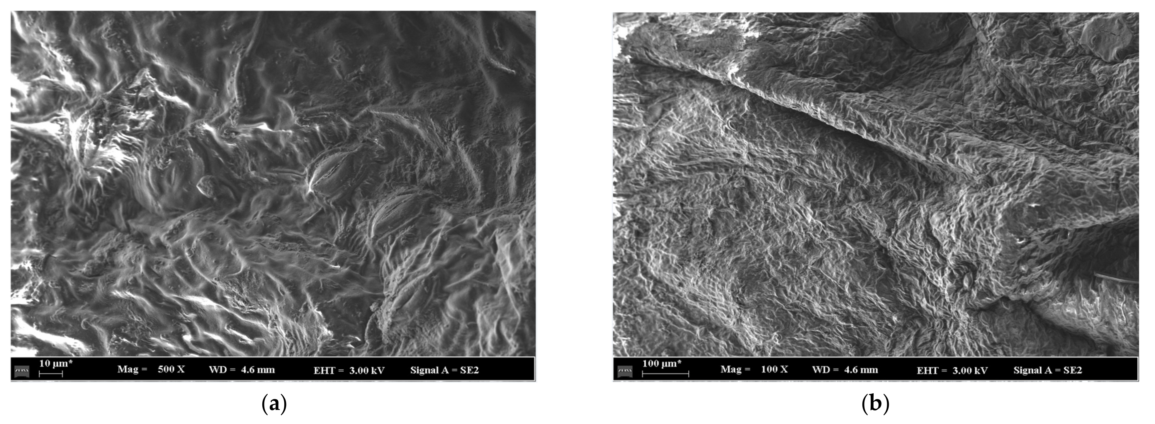 Agriculture 14 01361 g009