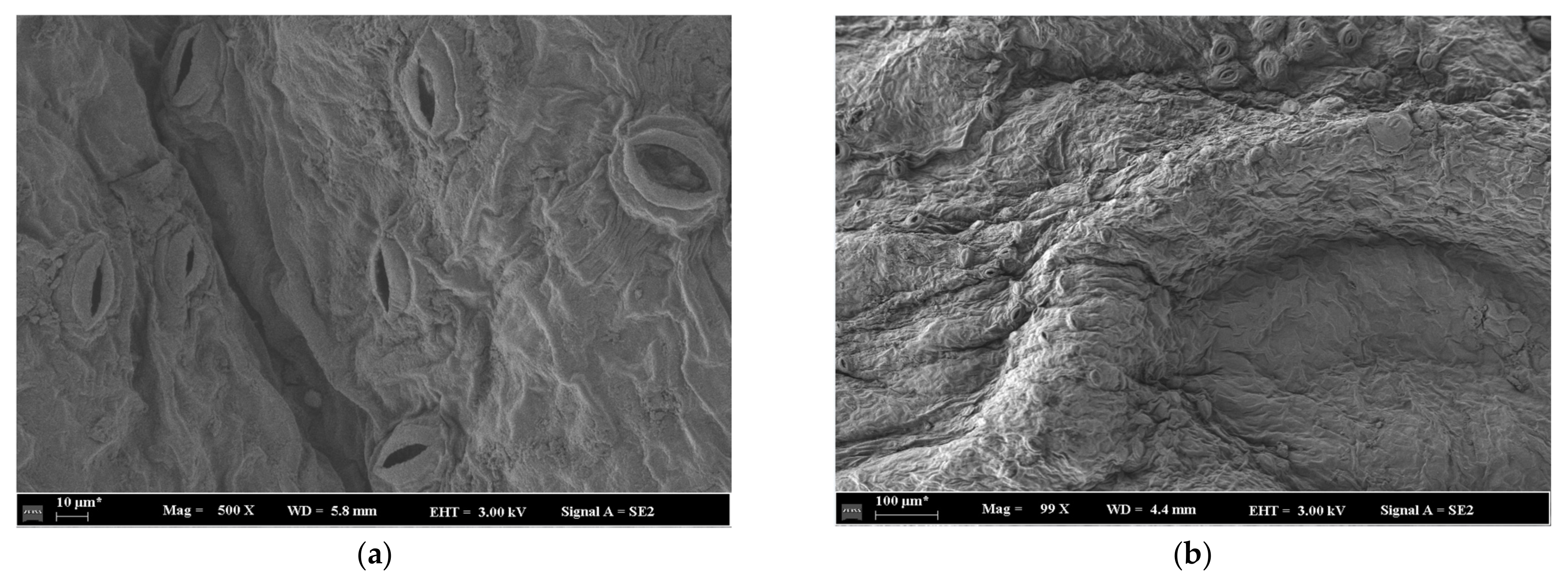 Agriculture 14 01361 g010