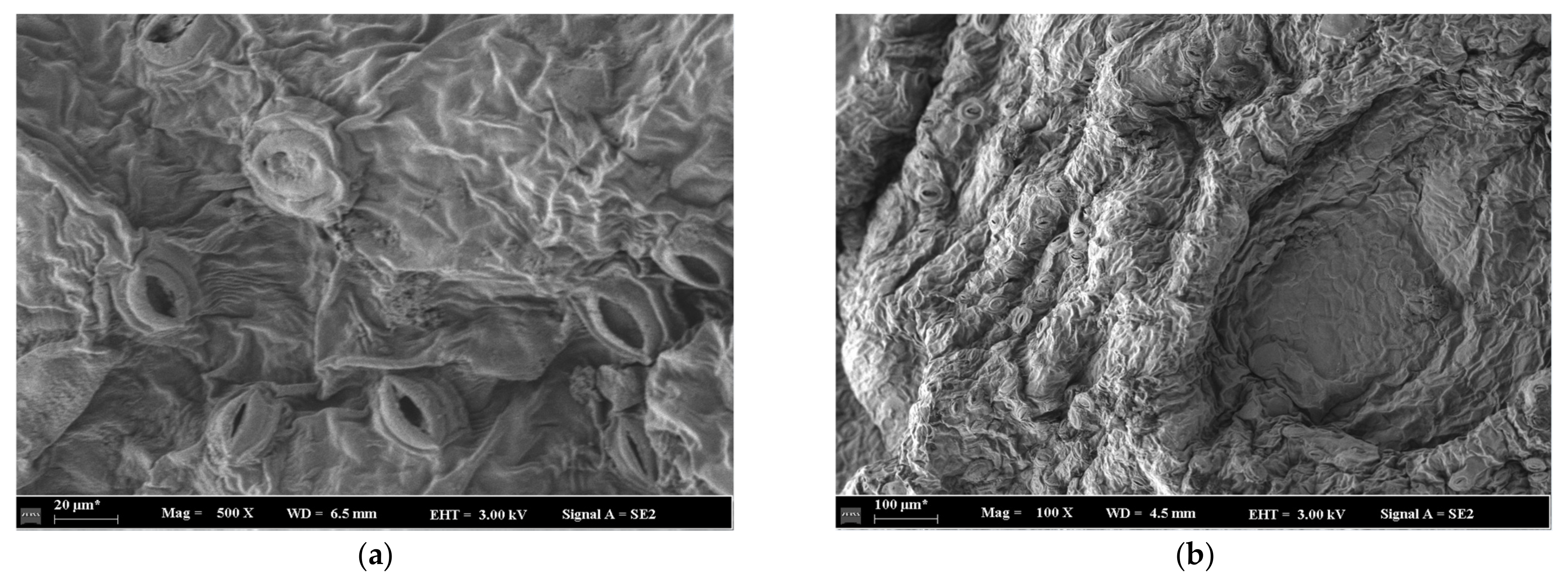 Agriculture 14 01361 g011