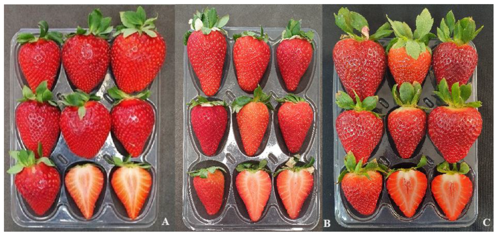 Agriculture 14 01373 g004 Agriculture 14 01373 g004