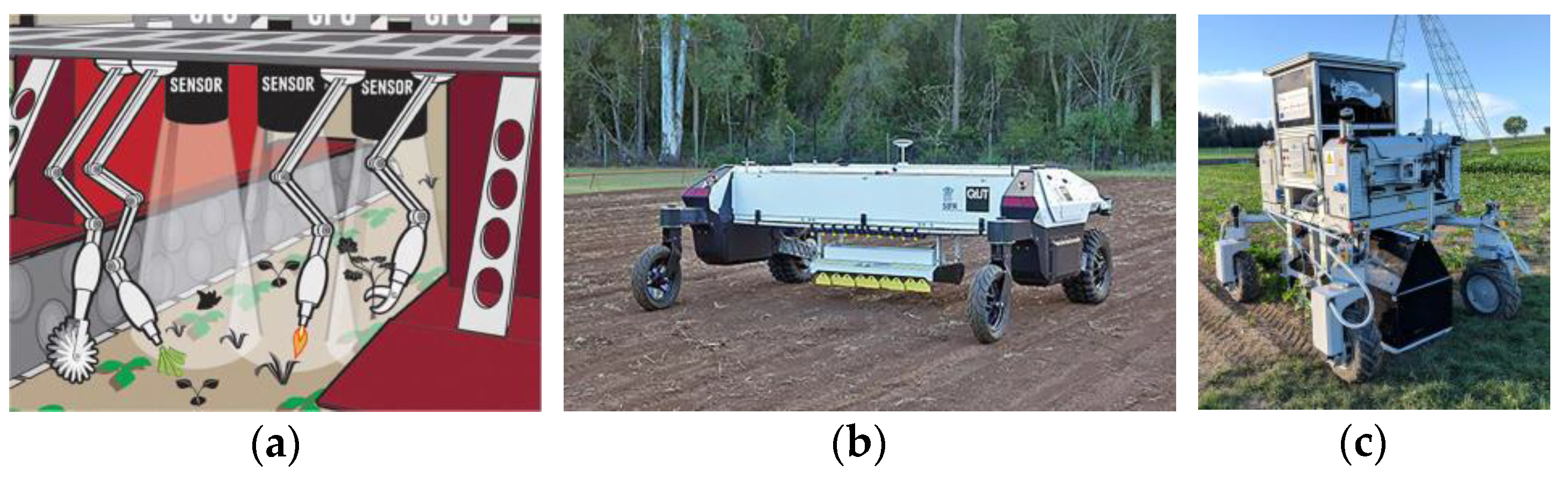 Agriculture 14 01378 g001