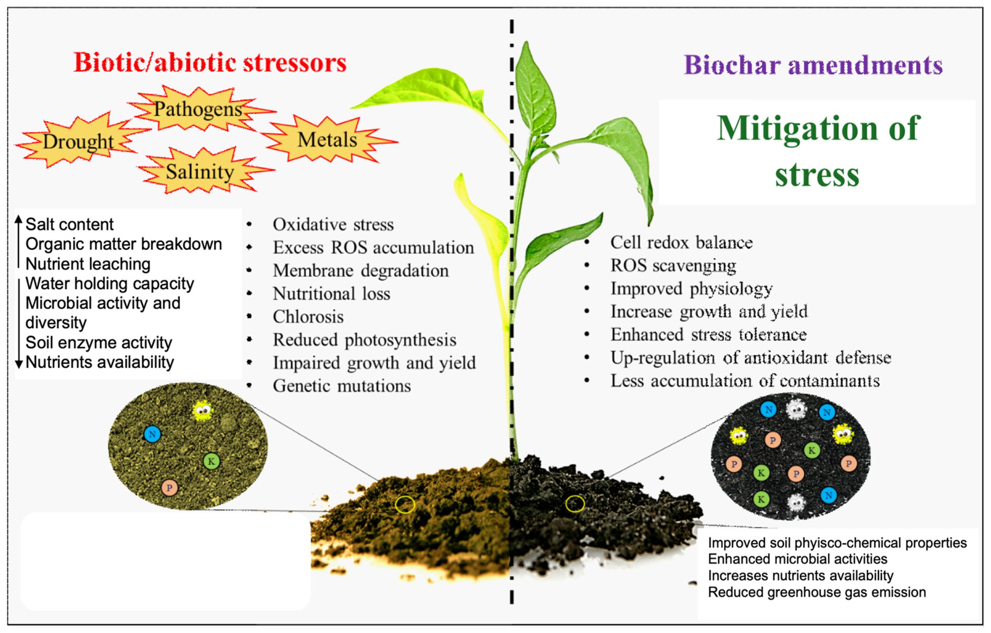 Agriculture 14 01418 g001