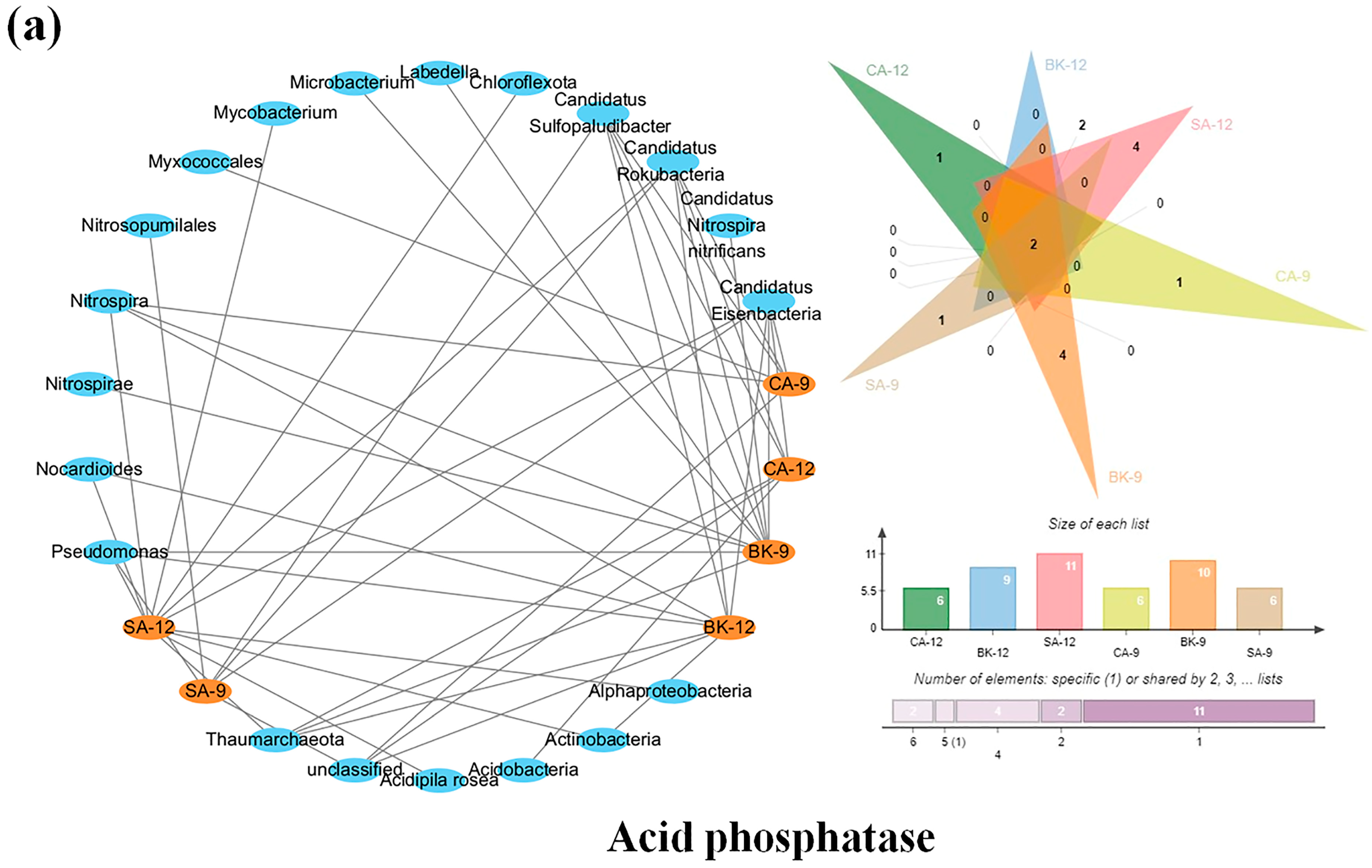 Agriculture 14 01424 g009a