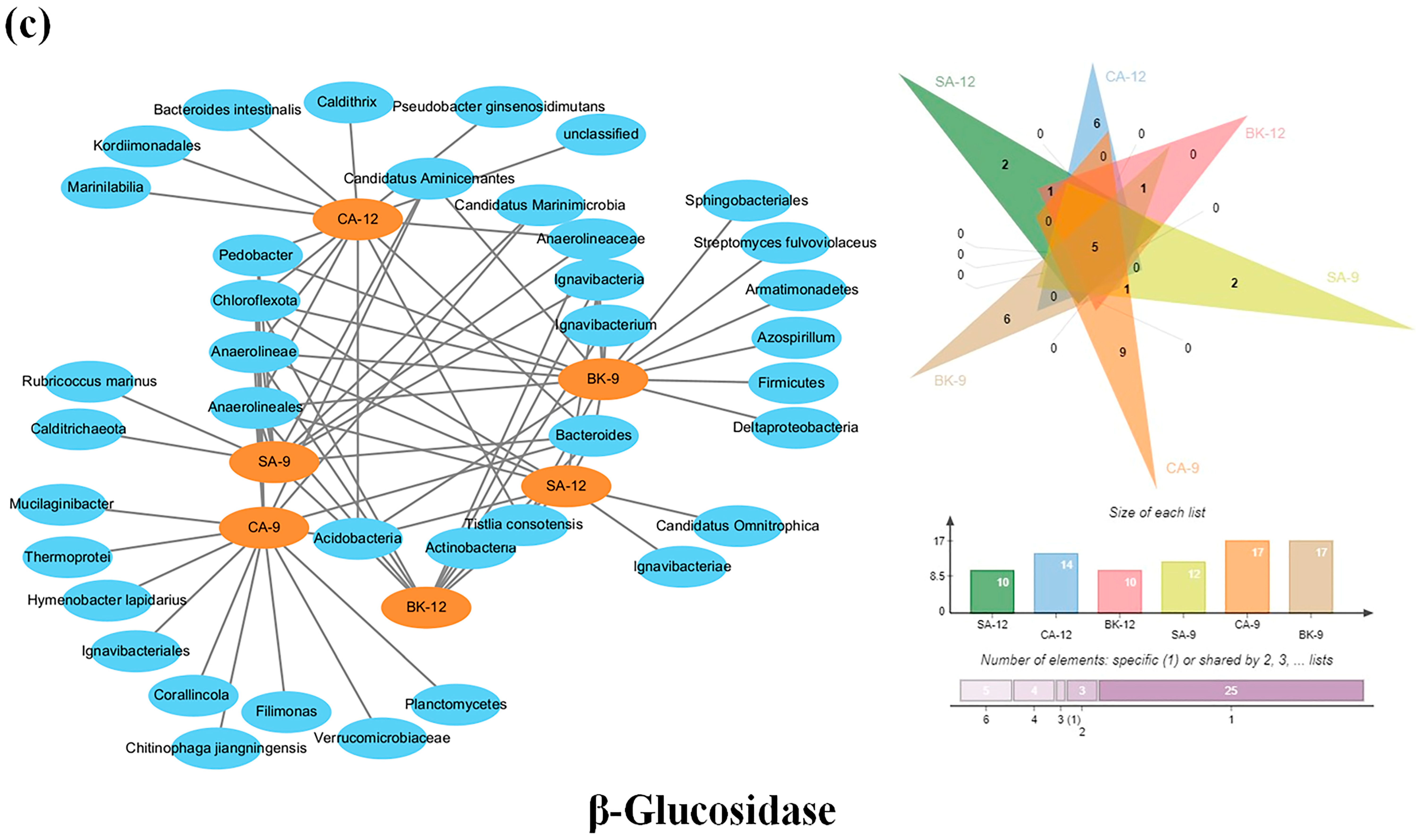 Agriculture 14 01424 g009c