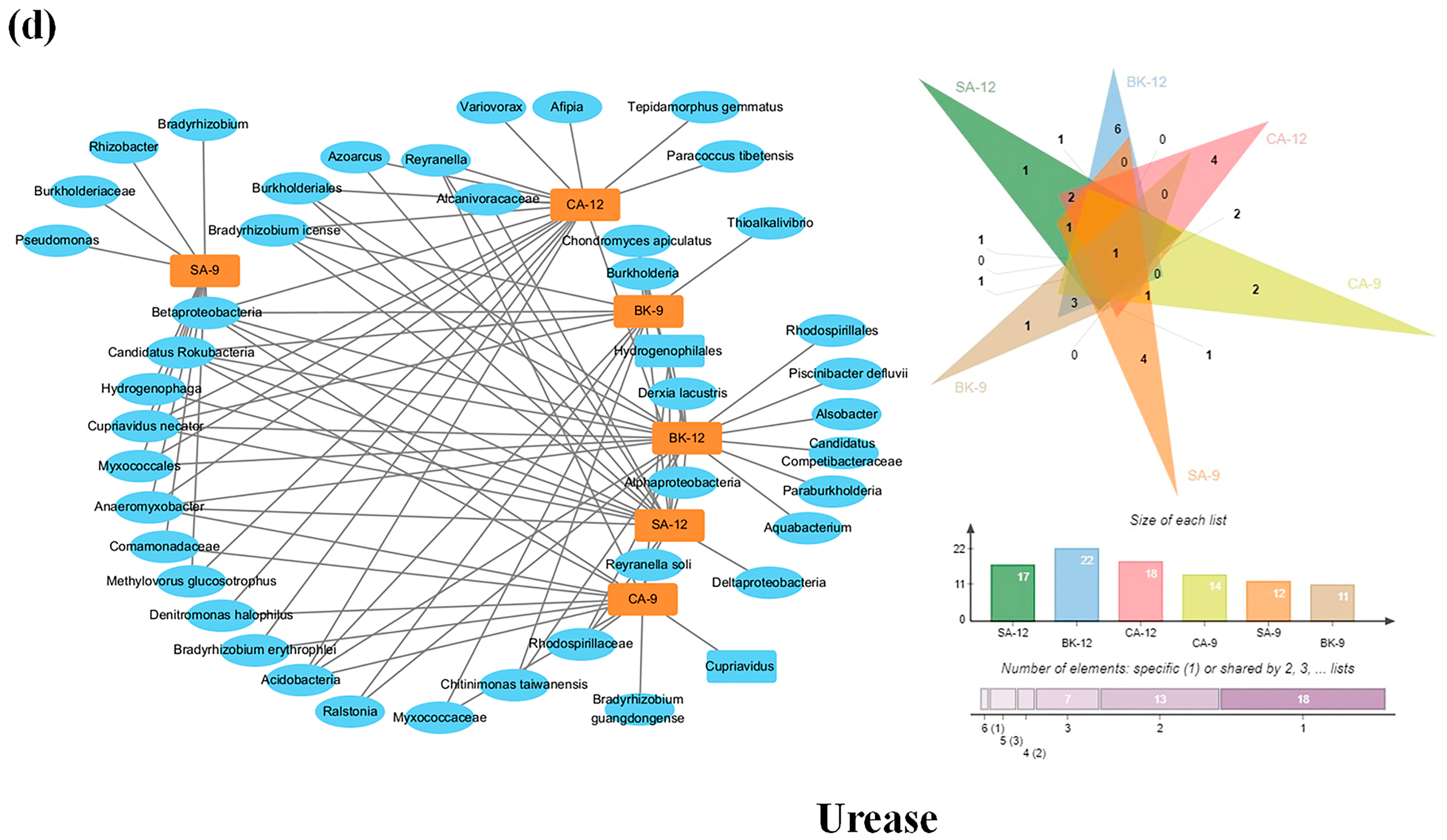 Agriculture 14 01424 g009d