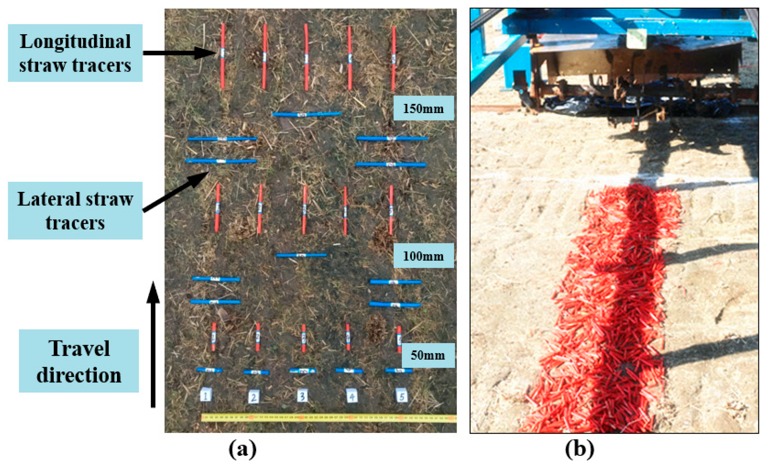 Agriculture 14 01426 g004