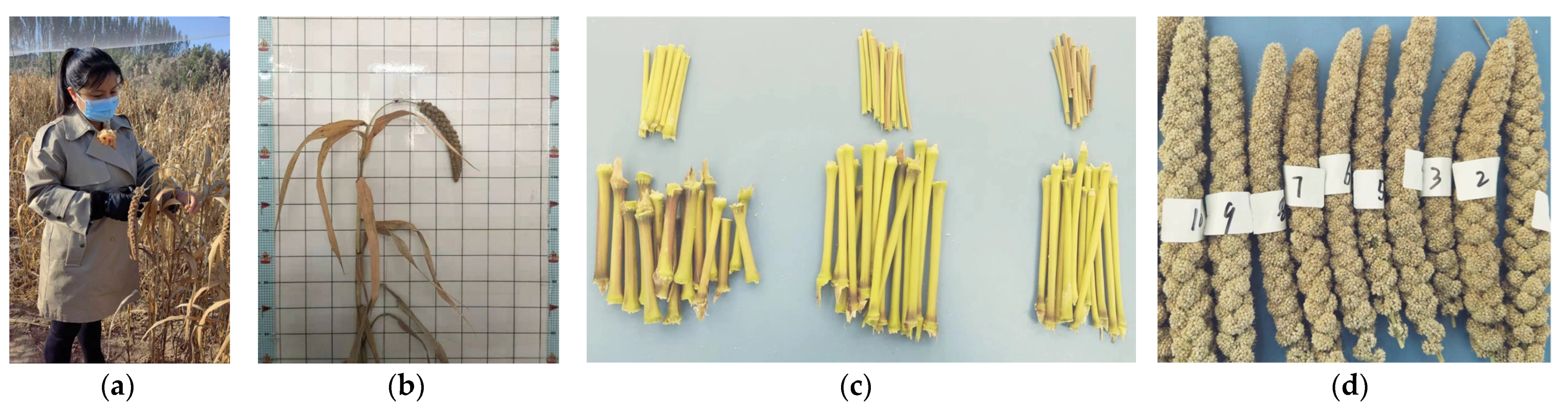 Agriculture 14 01437 g001