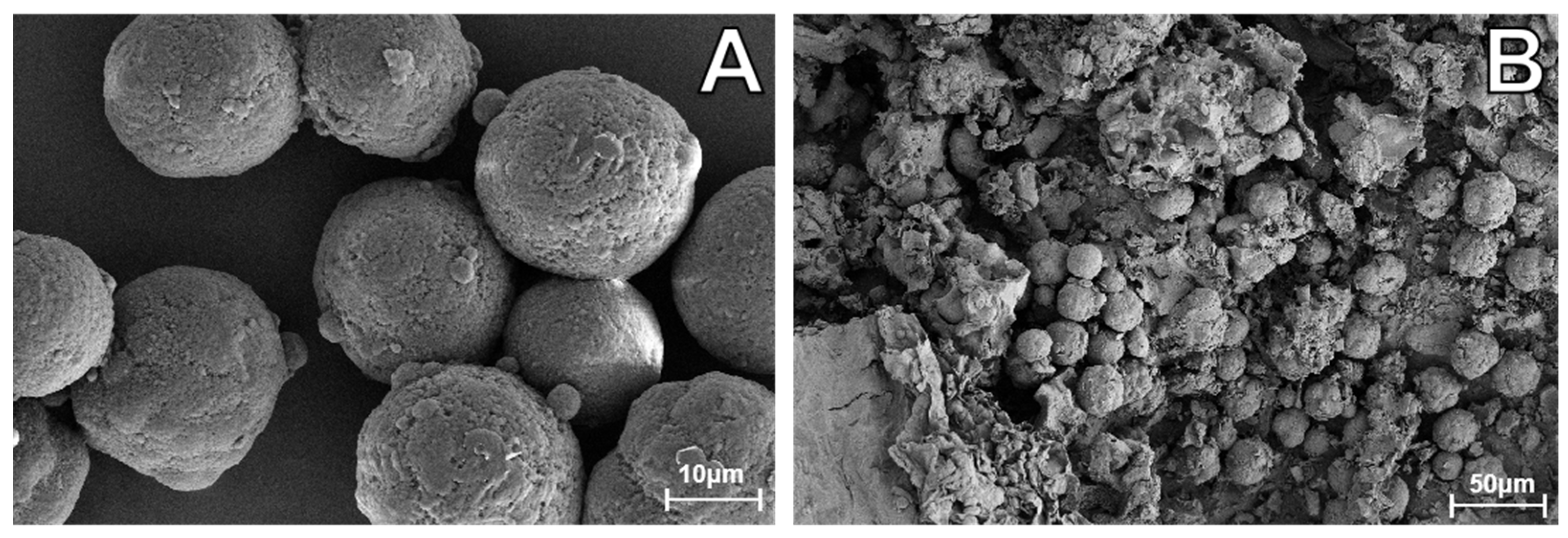 Agriculture 14 01460 g001