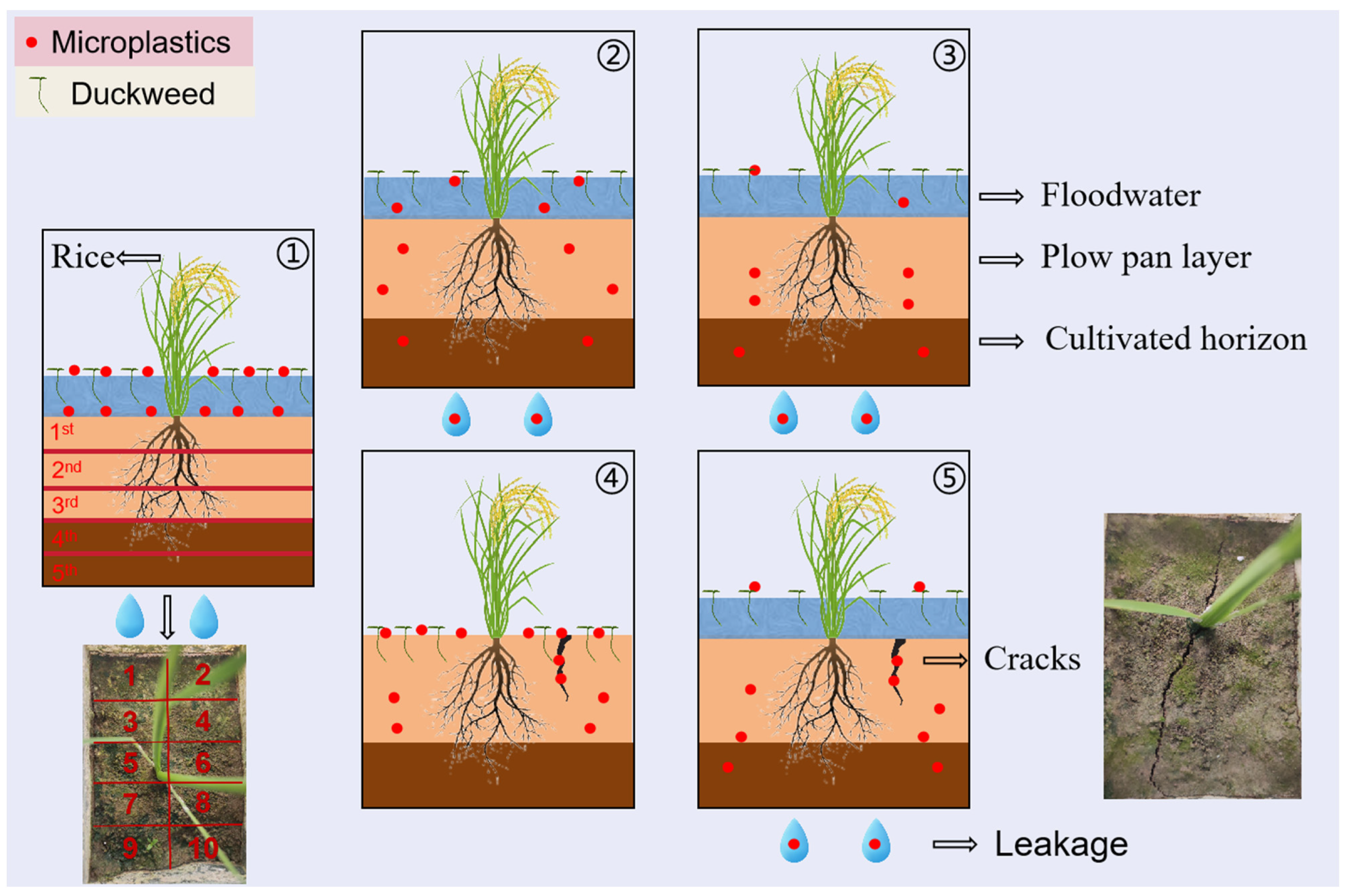 Agriculture 14 01460 g002