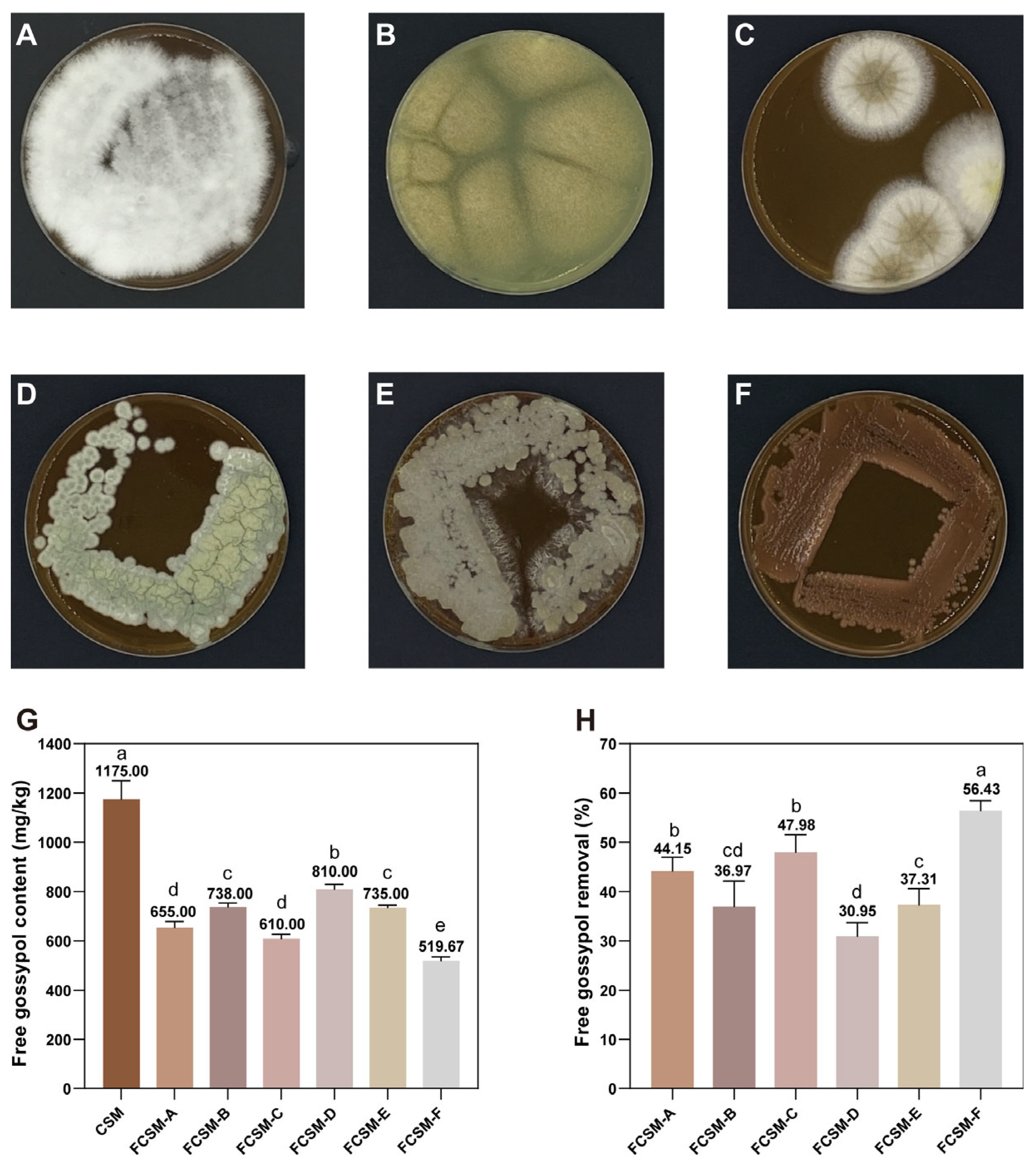 Agriculture 14 01463 g001
