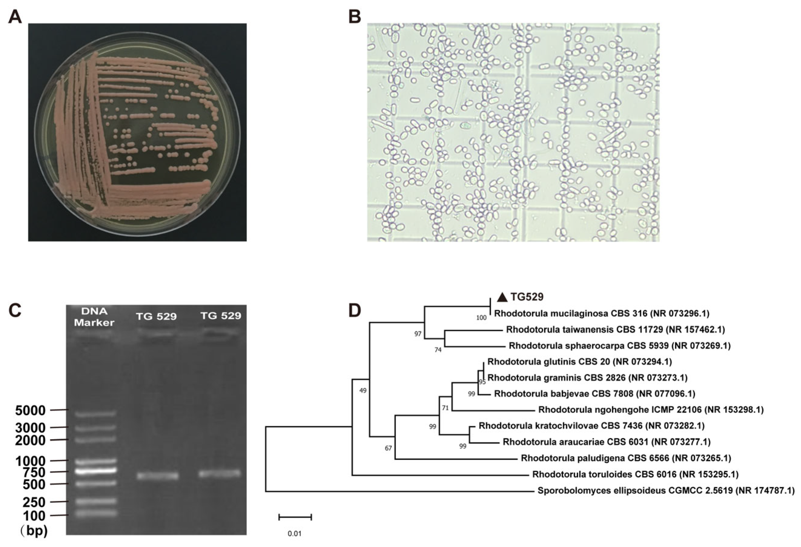 Agriculture 14 01463 g002