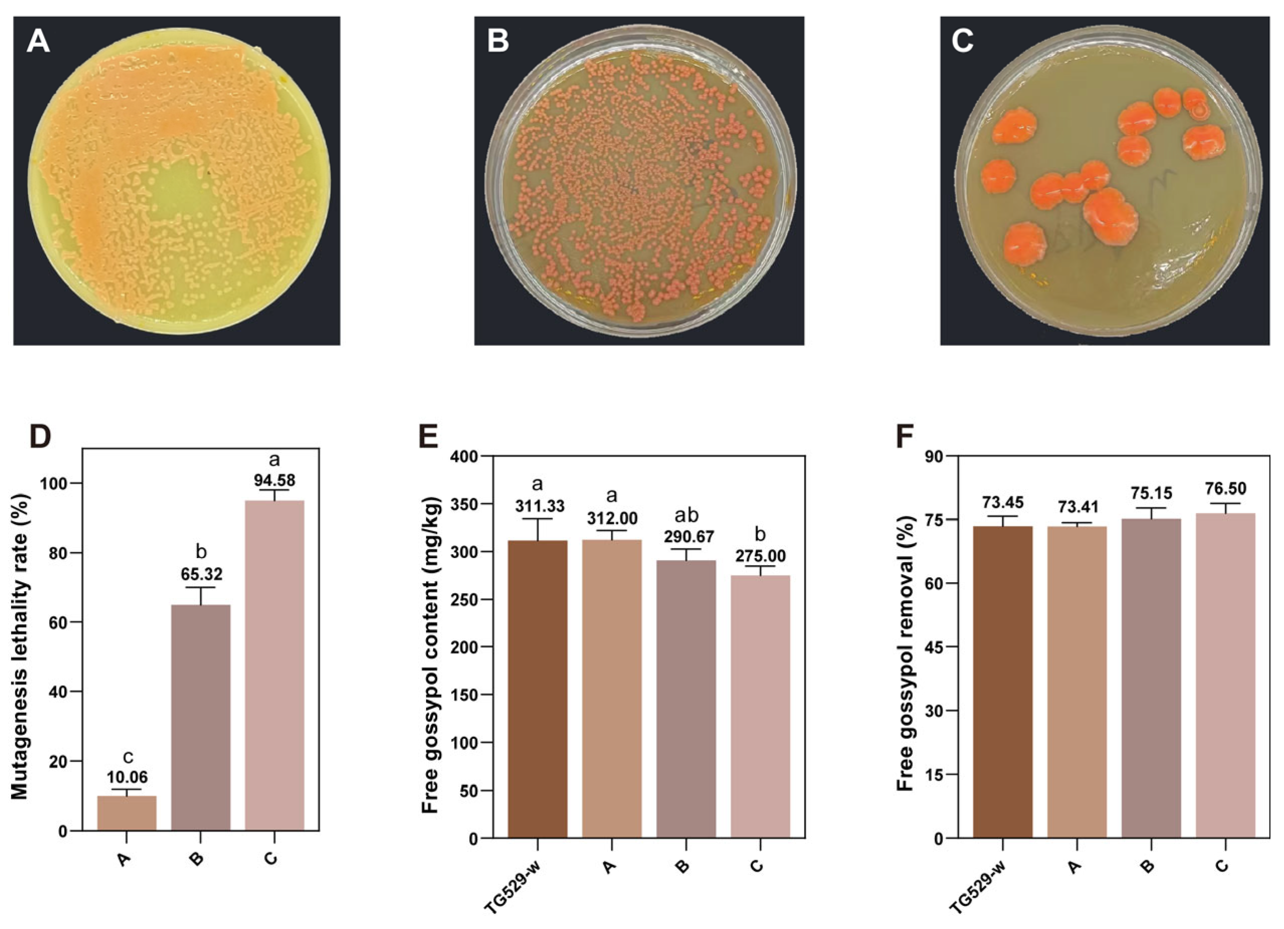 Agriculture 14 01463 g005