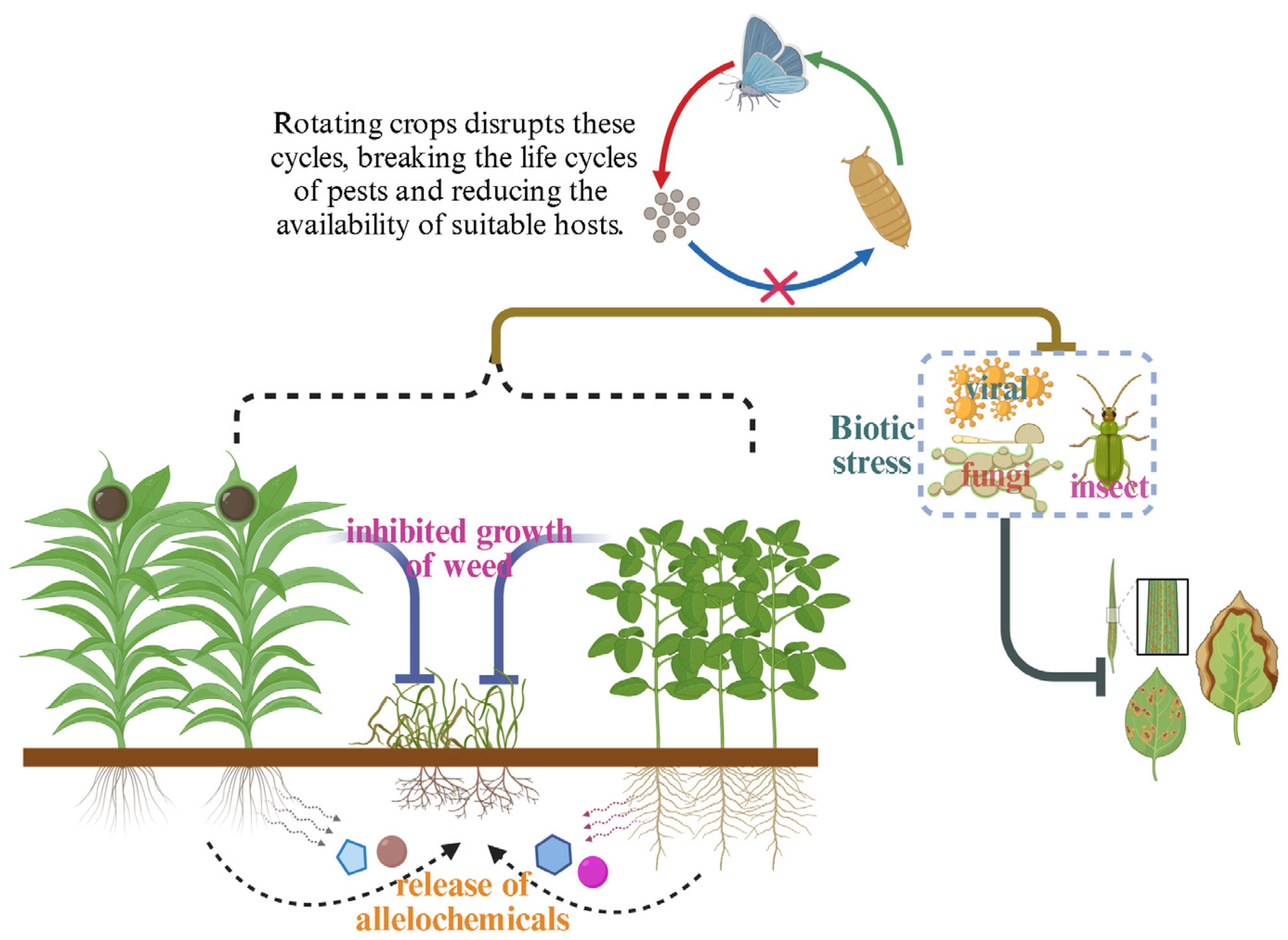 Agriculture 14 01465 g002
