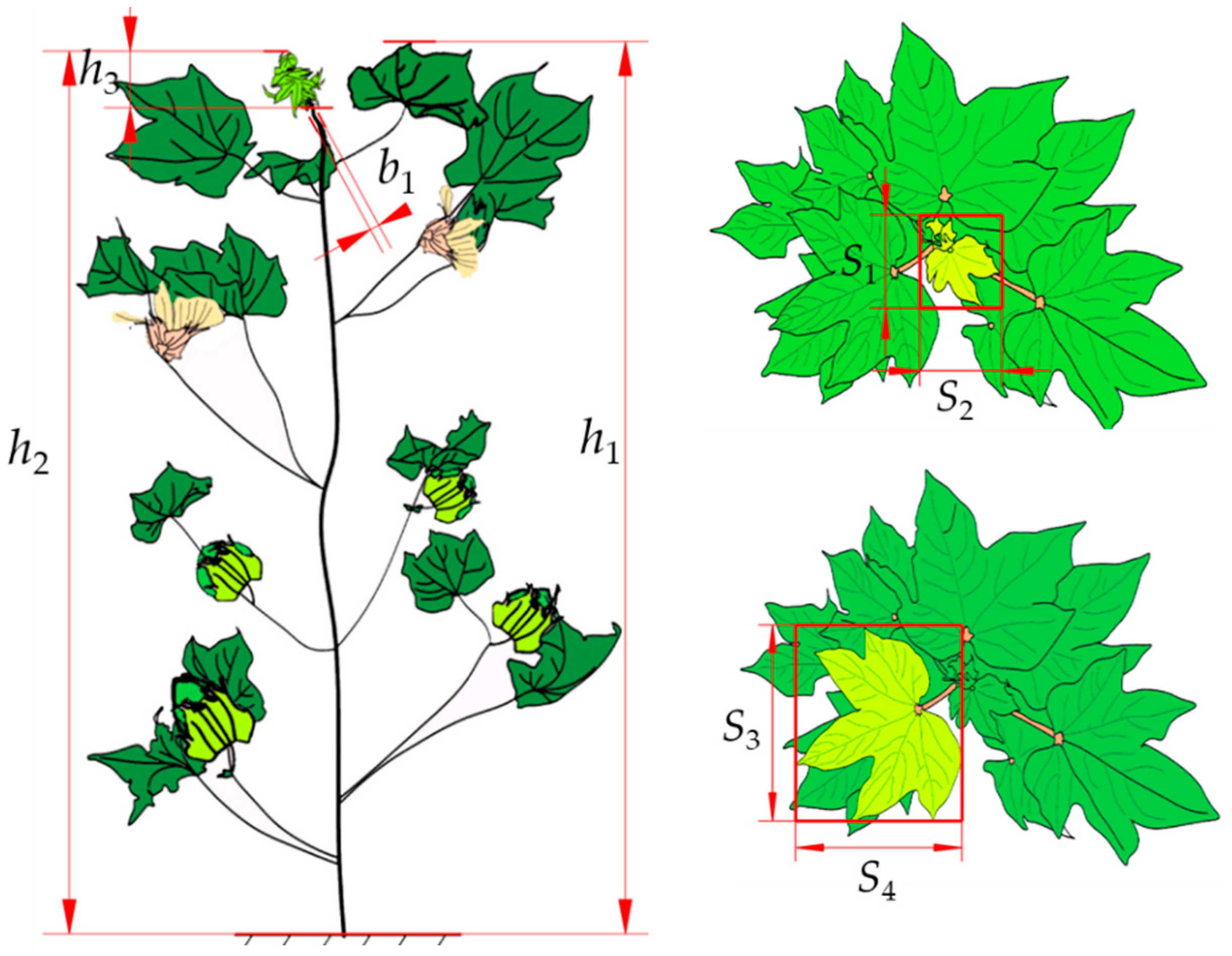 Agriculture 14 01469 g001
