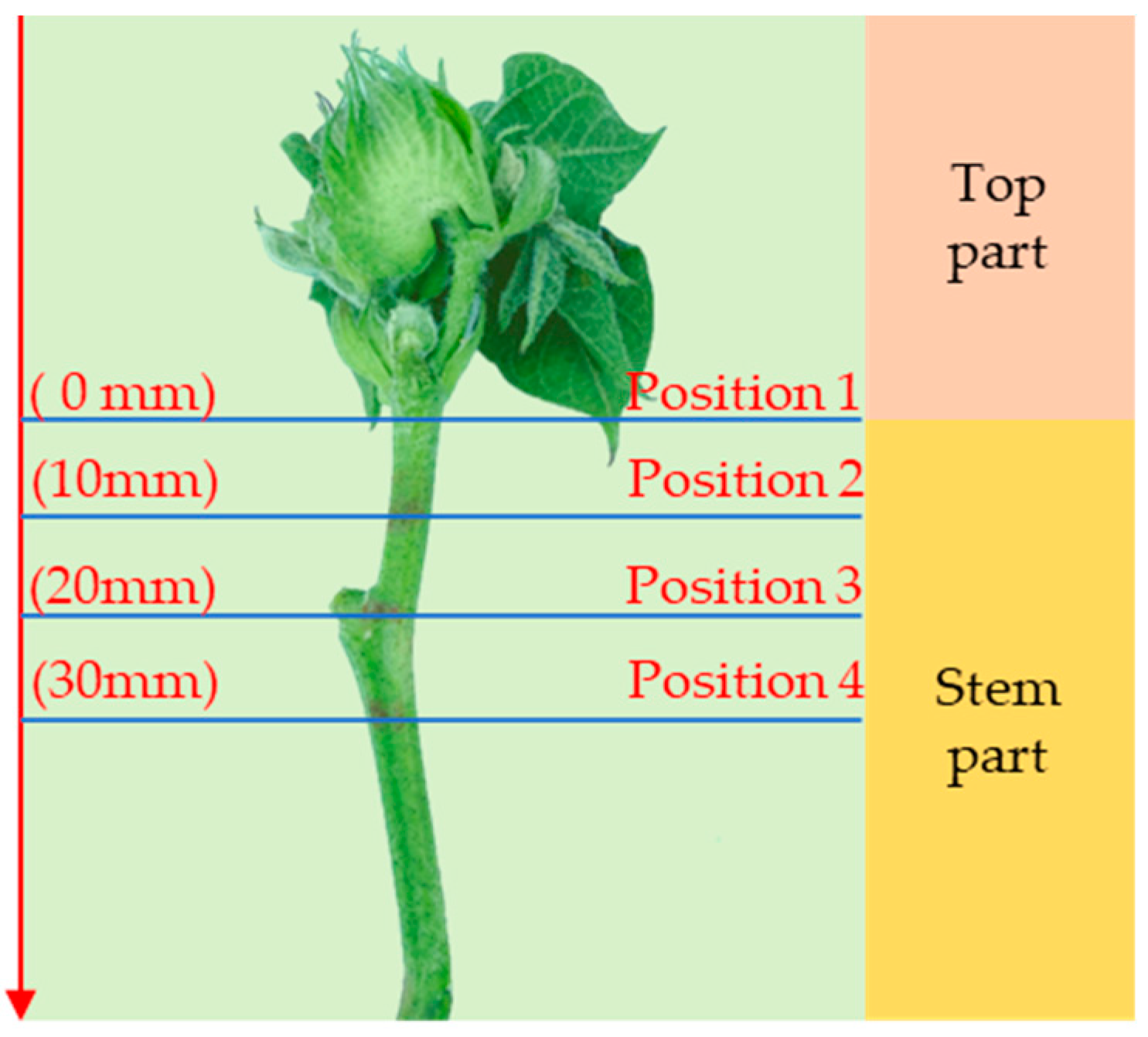 Agriculture 14 01469 g005