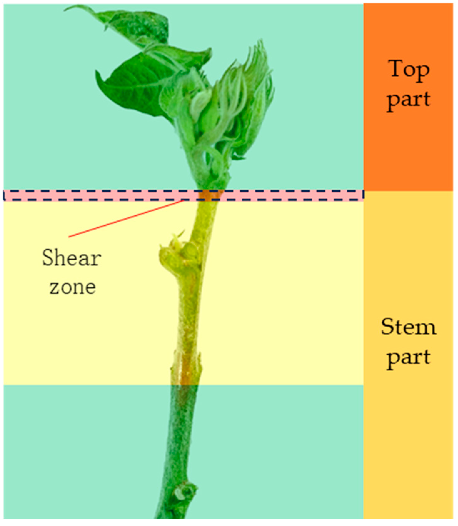 Agriculture 14 01469 g007