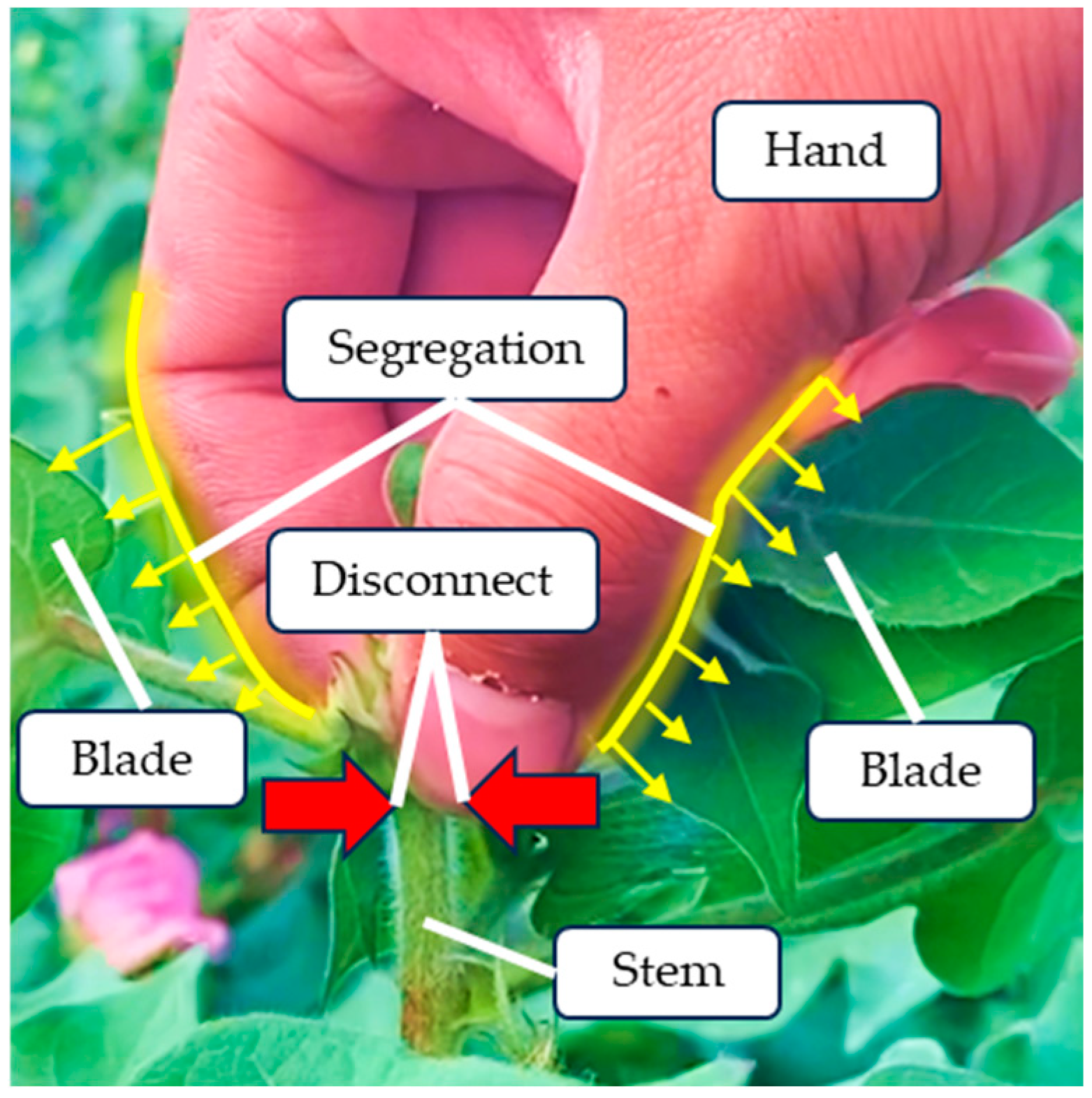 Agriculture 14 01469 g009