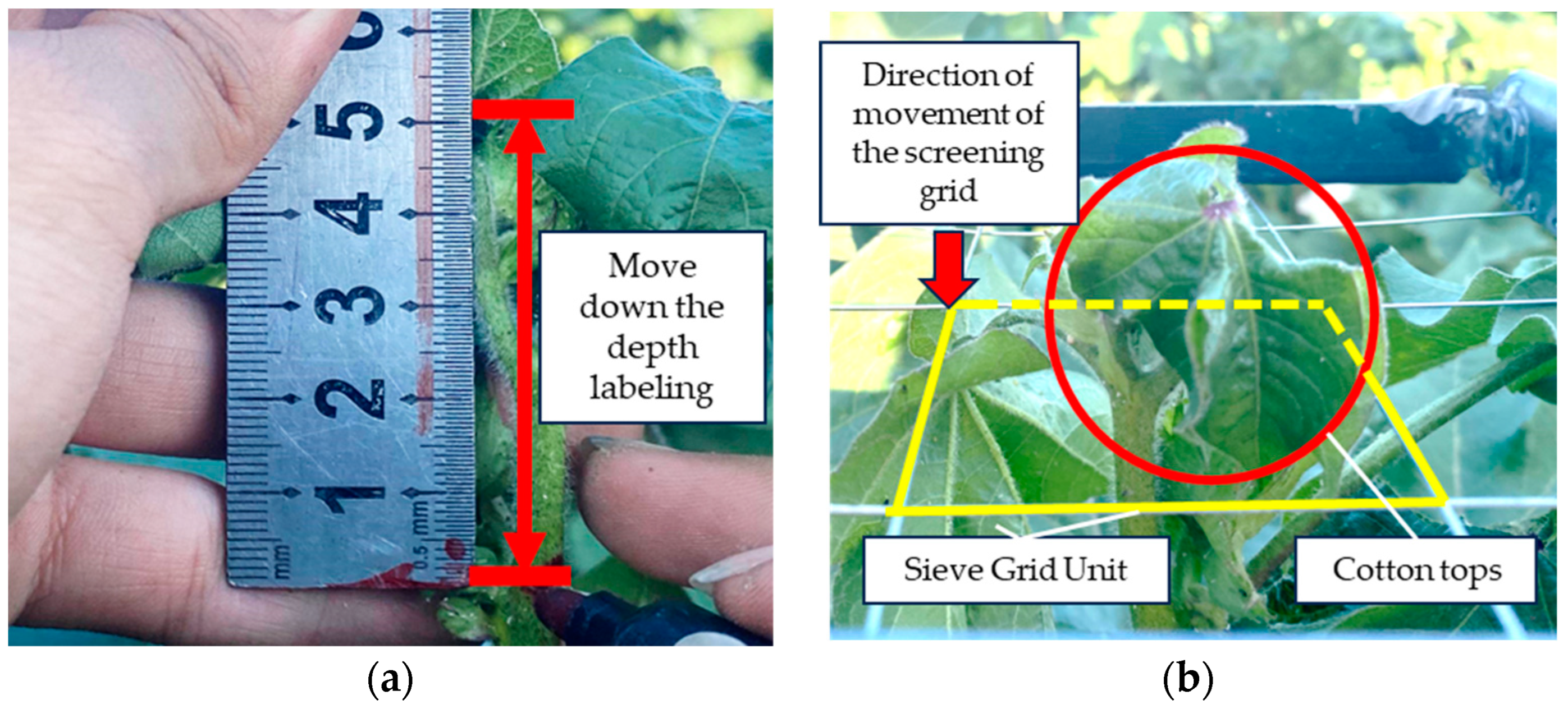 Agriculture 14 01469 g015