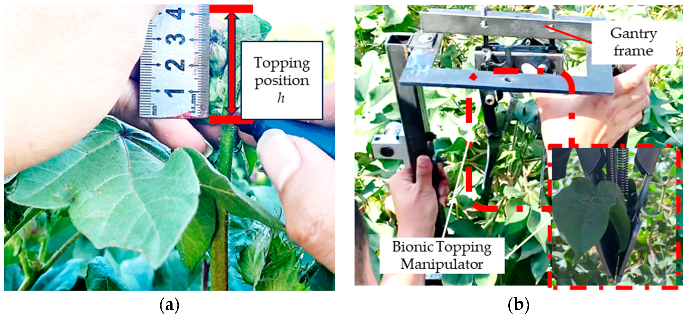 Agriculture 14 01469 g017