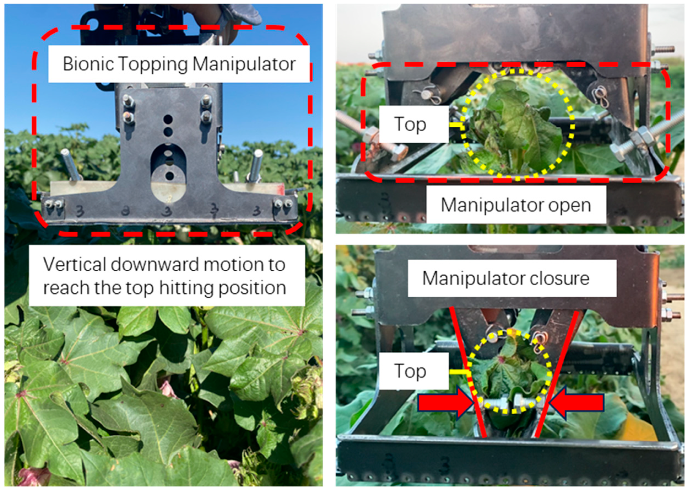 Agriculture 14 01469 g018